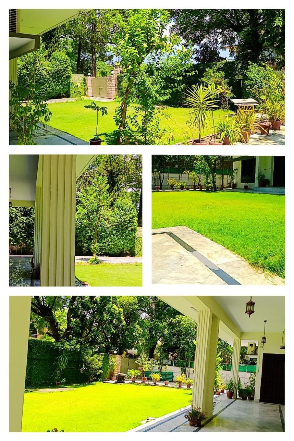 Capri Residency — photo 198