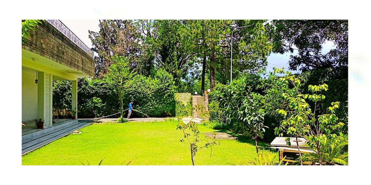 Capri Residency — photo 16