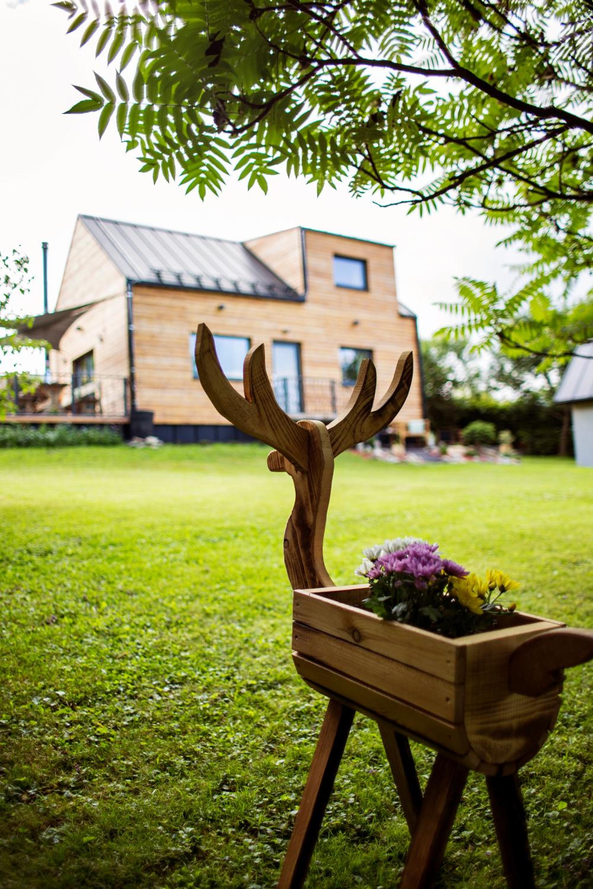 LOFT WAPITI