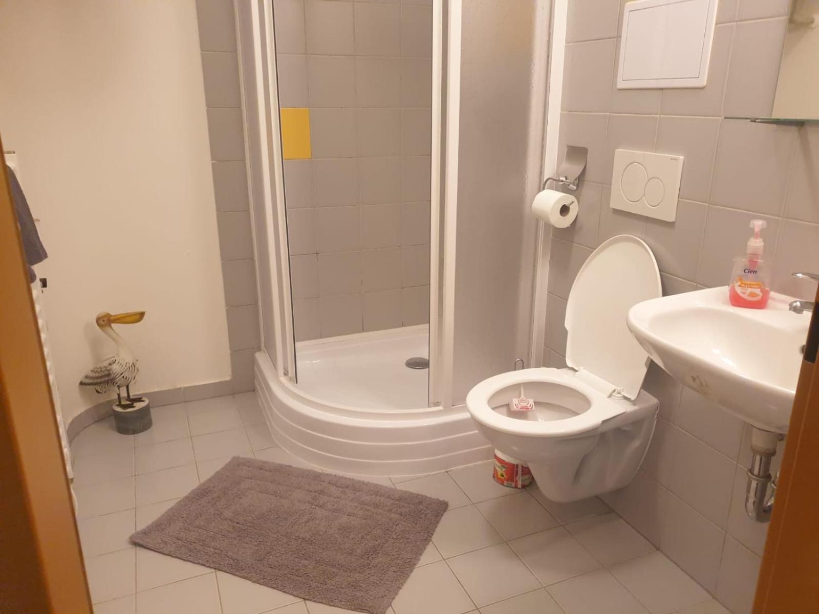 Apartmány Prášily view 4