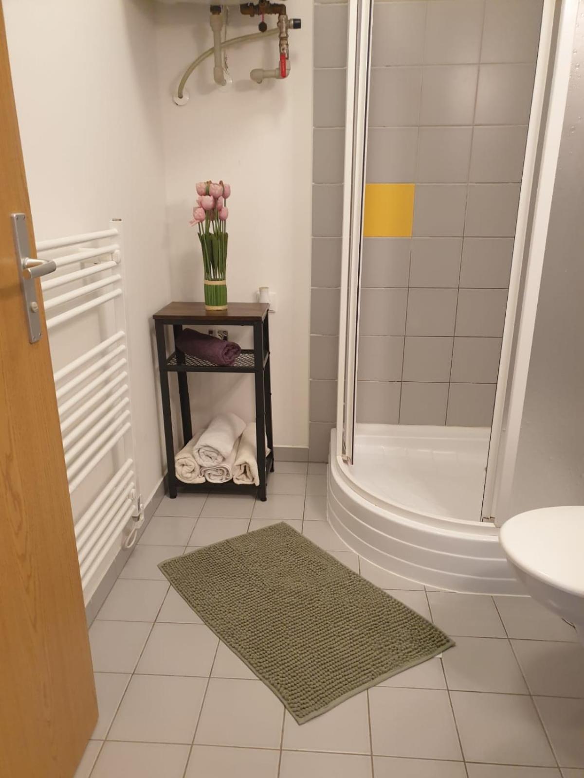 Apartmány Prášily view 3