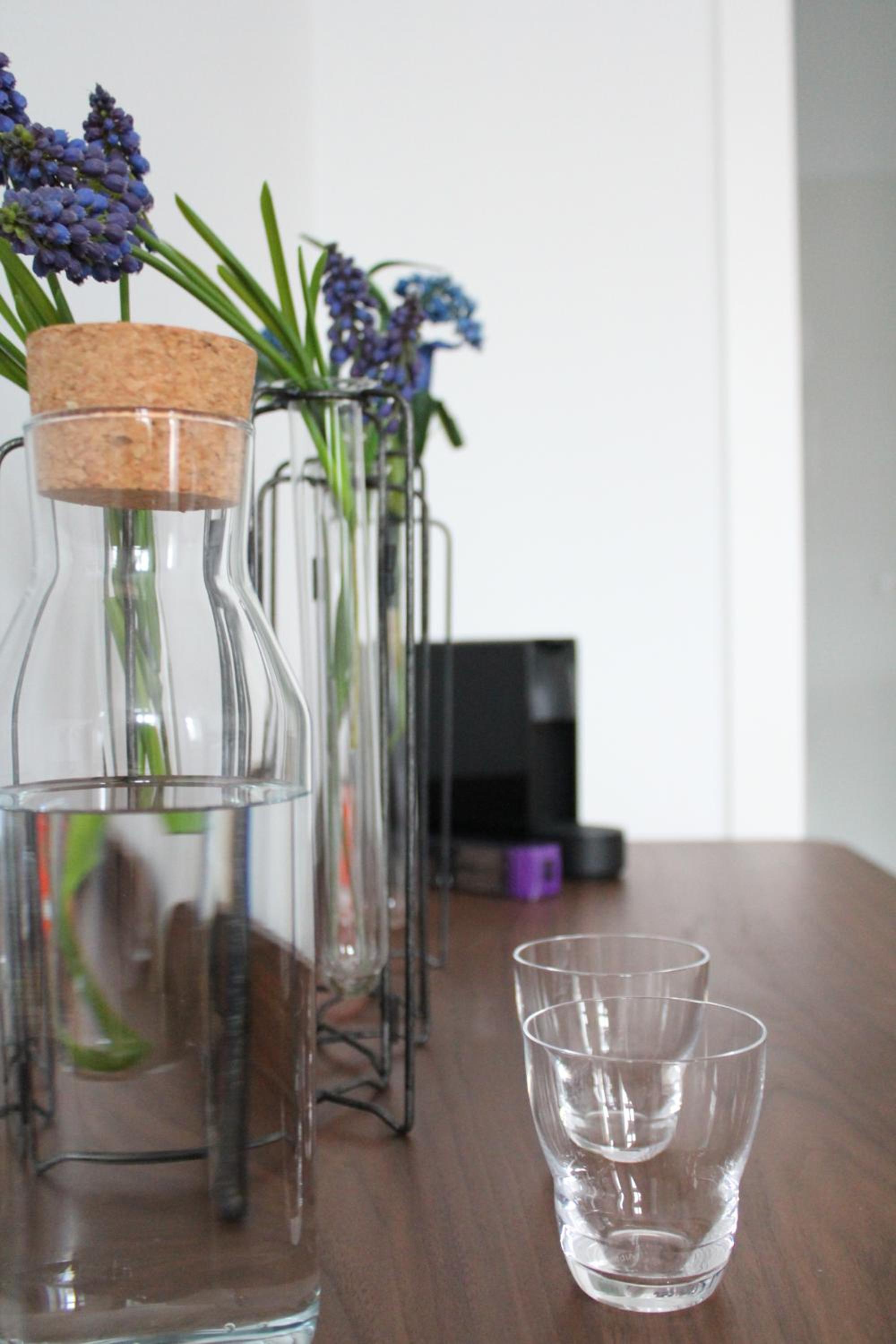 Luxury City Apartment Downtown Vienna