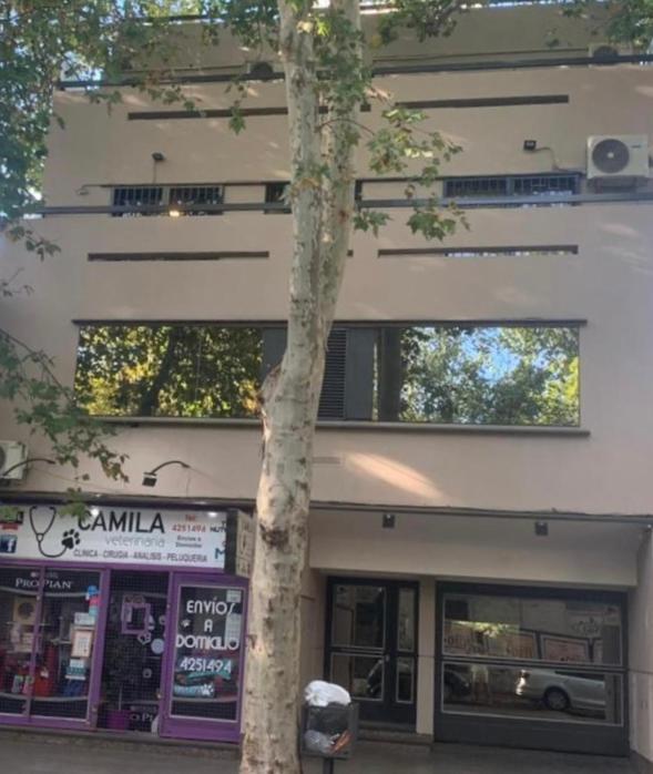 DEPARTAMENTO Céntrico MENDOZA