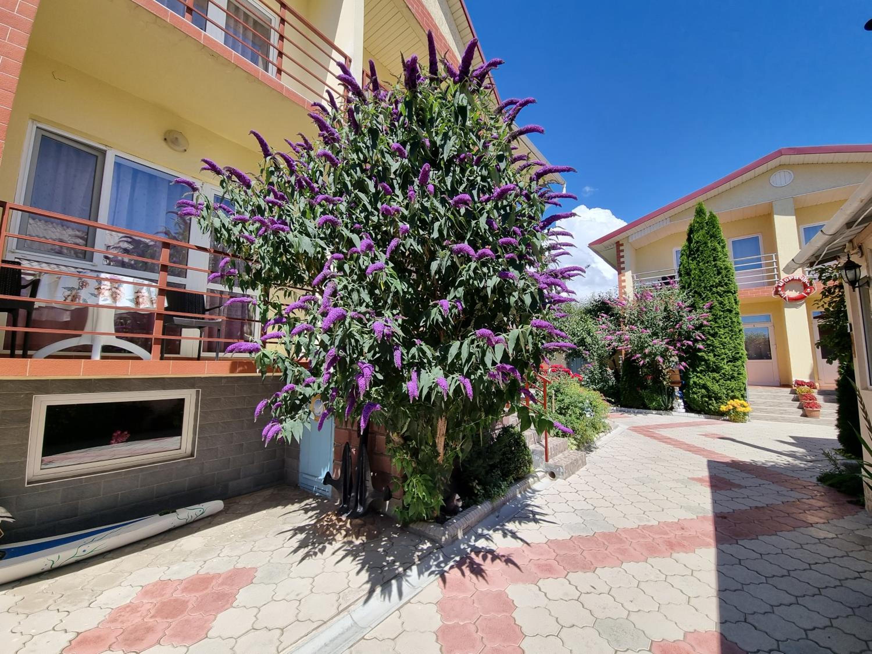Guest House Moryachka view 4