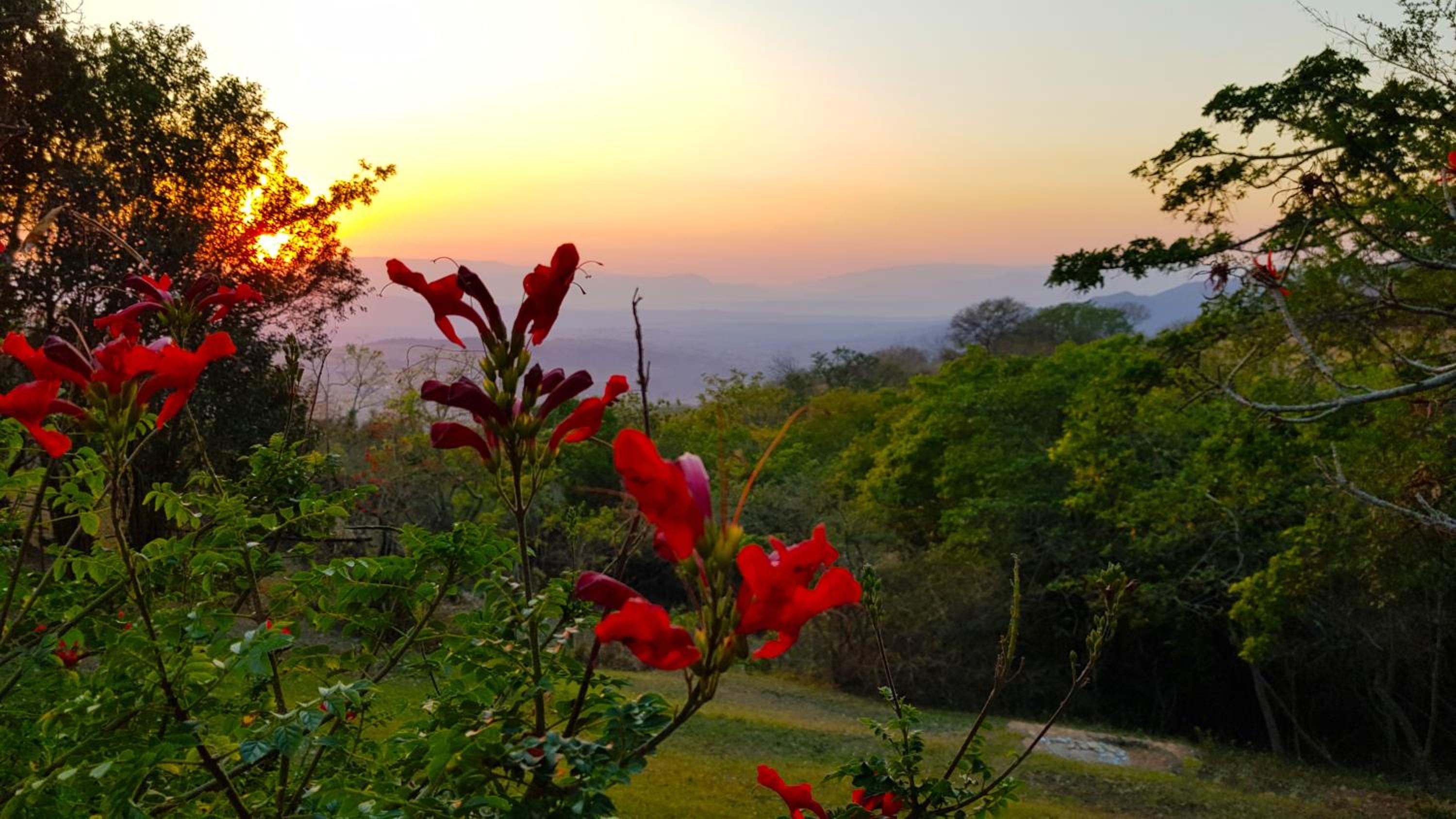 Wide Horizons Mountain Retreat
