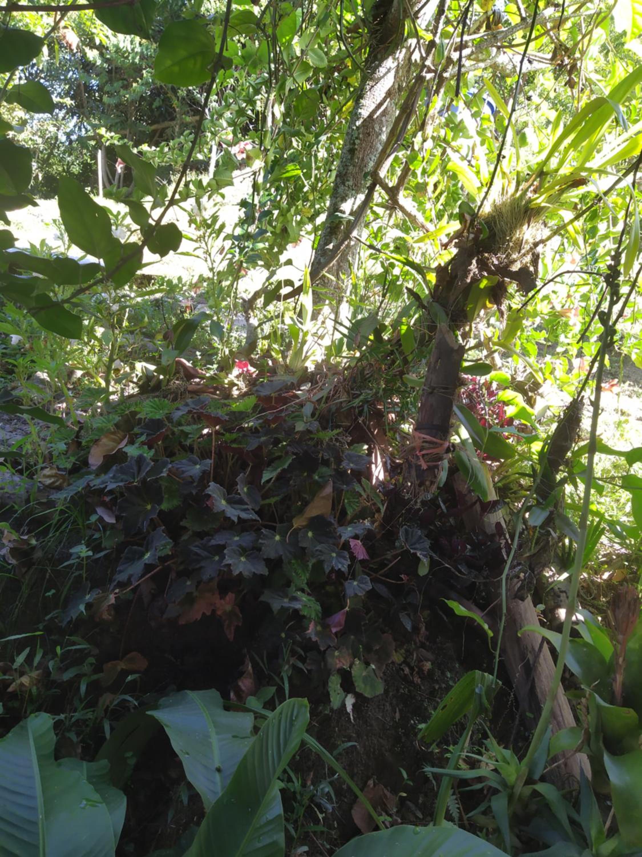 Eco Aldea Topacio