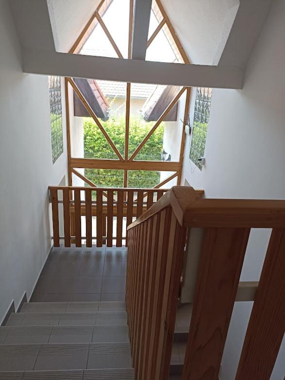 Mókus Apartman view 5