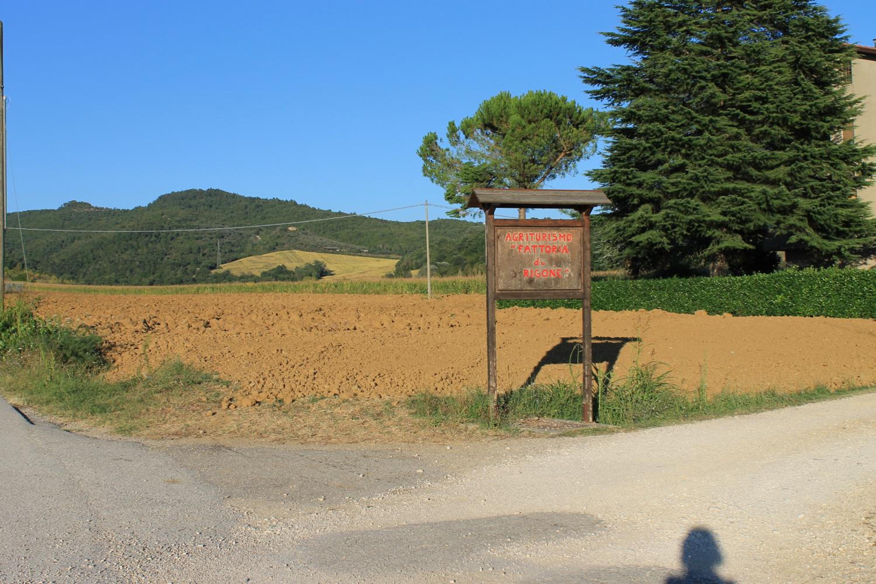 Fattoria di Rigone