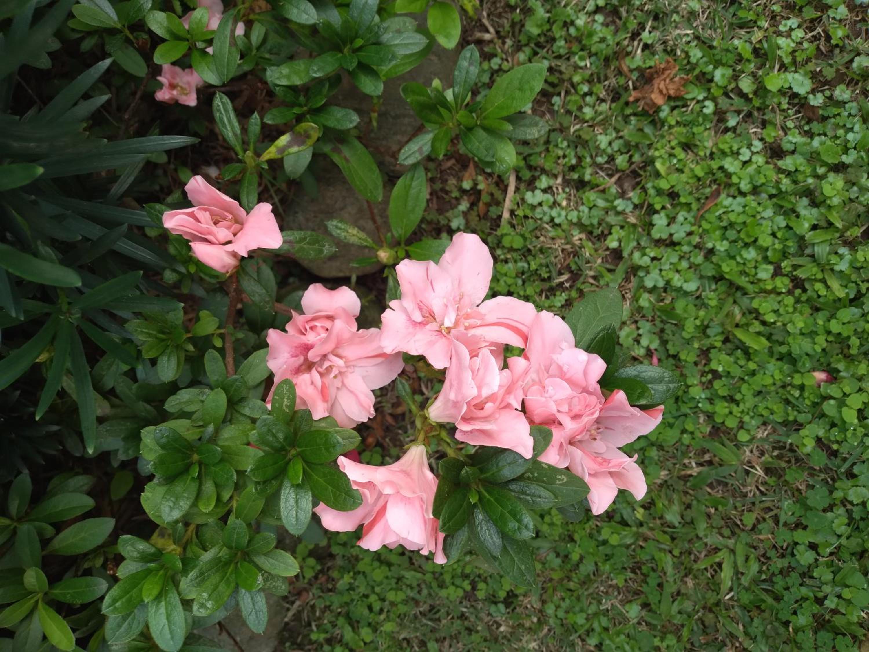 Photo 31