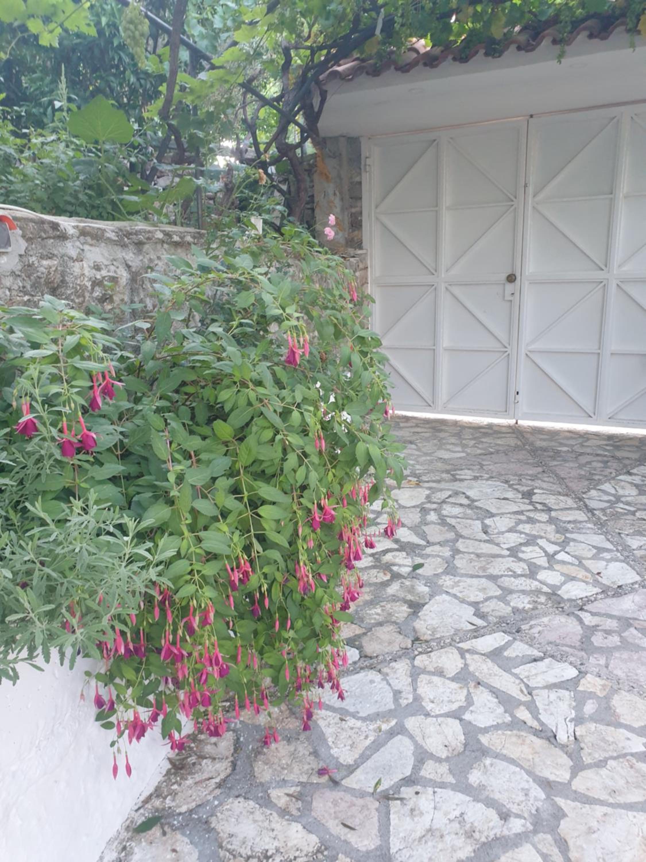 Rosemary House