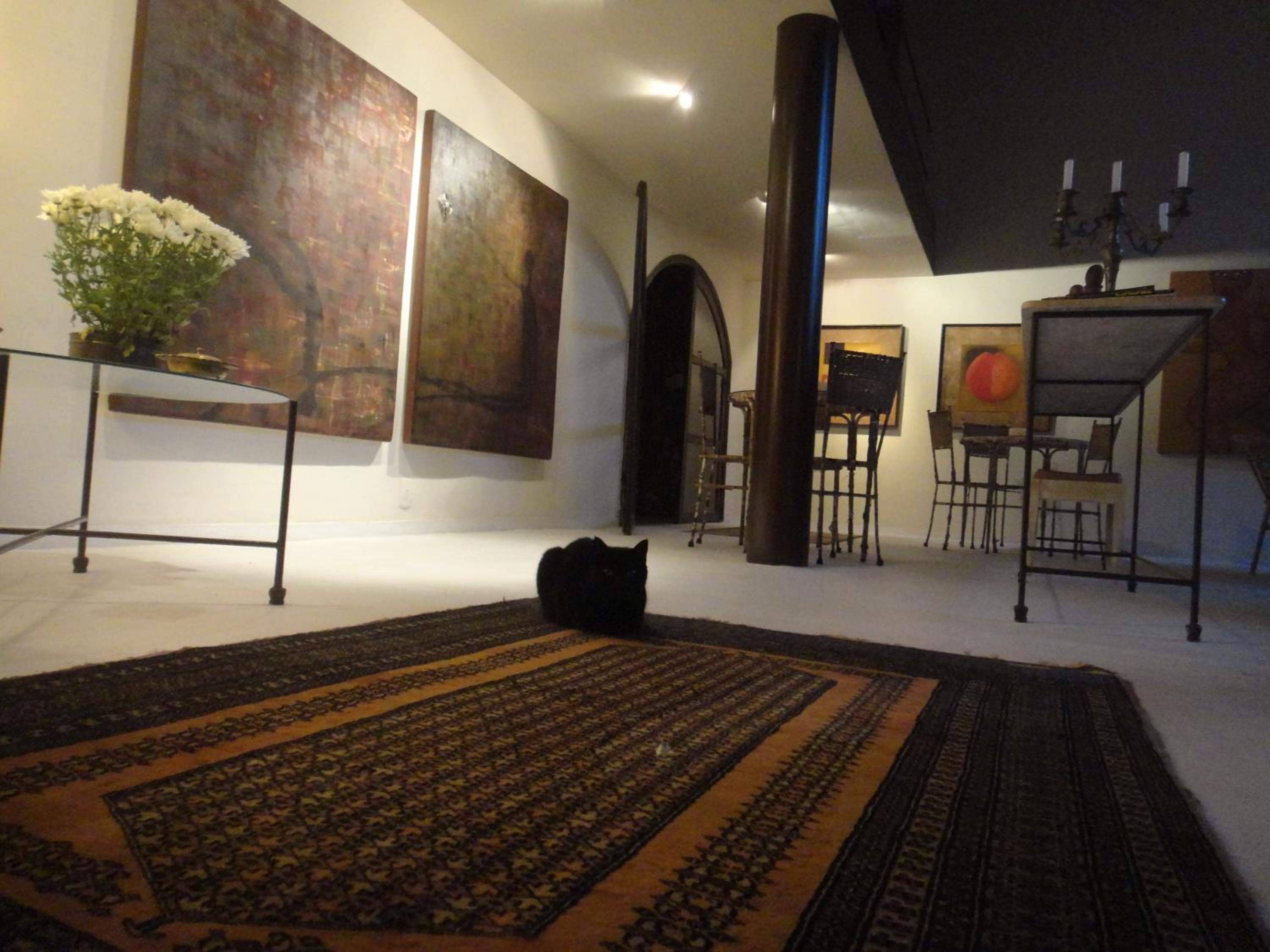 Atelier Sylvio cavalheiro