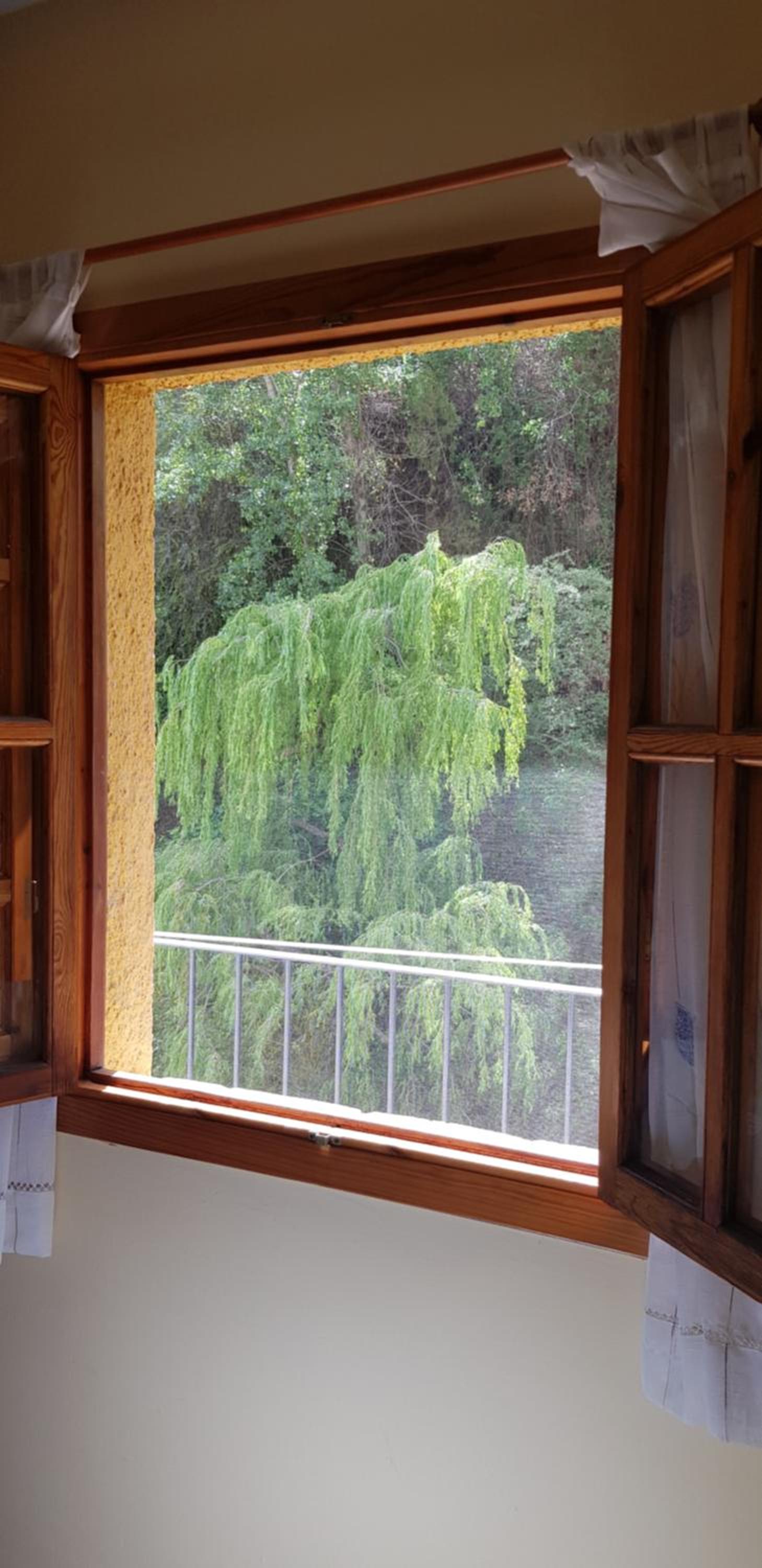 Casa Chica photo 3