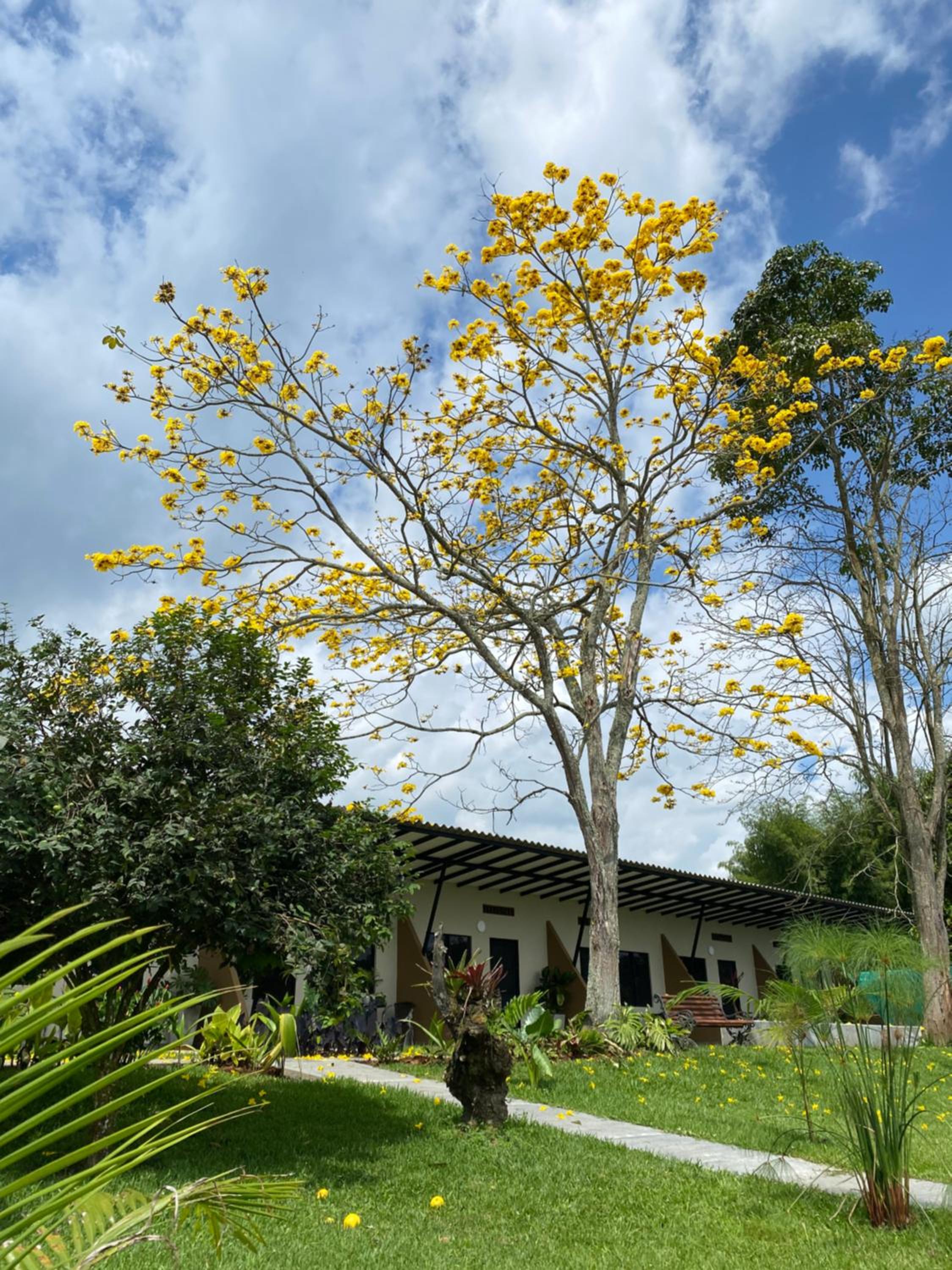 Baum Hotel