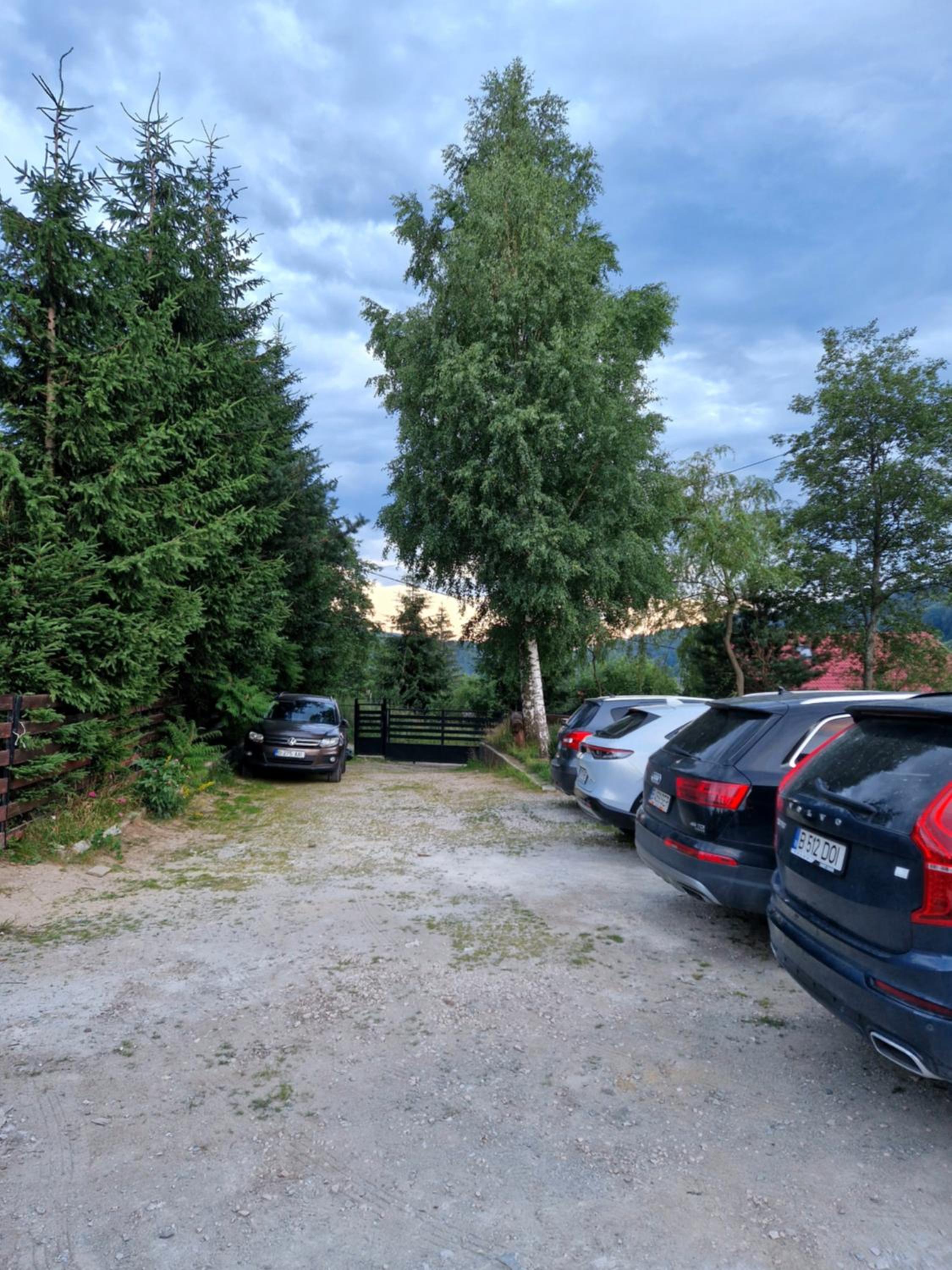 Photo 29