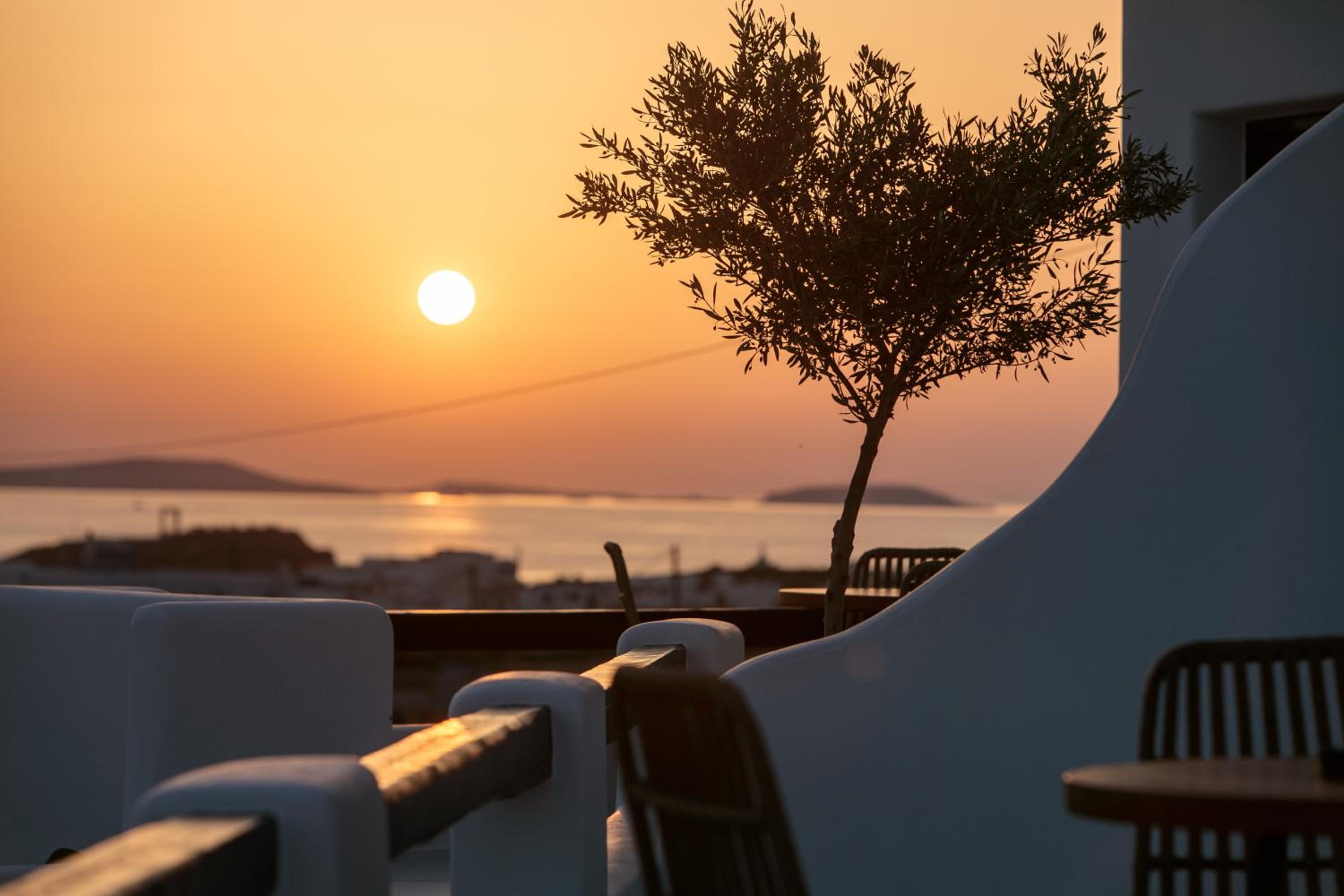 Naxos White Concept photo 5