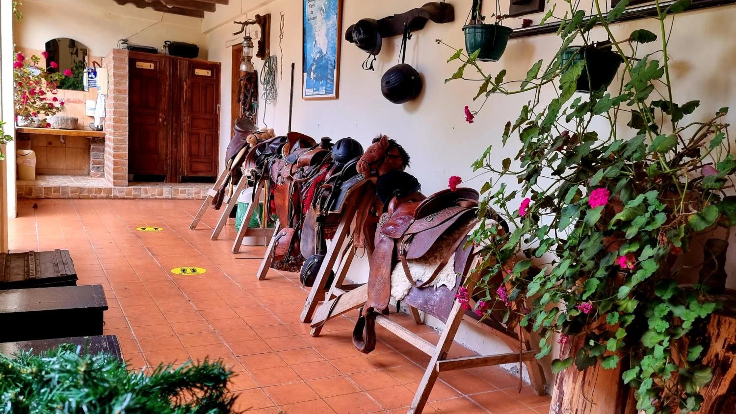 Hacienda San Isidro Trails & Experiences