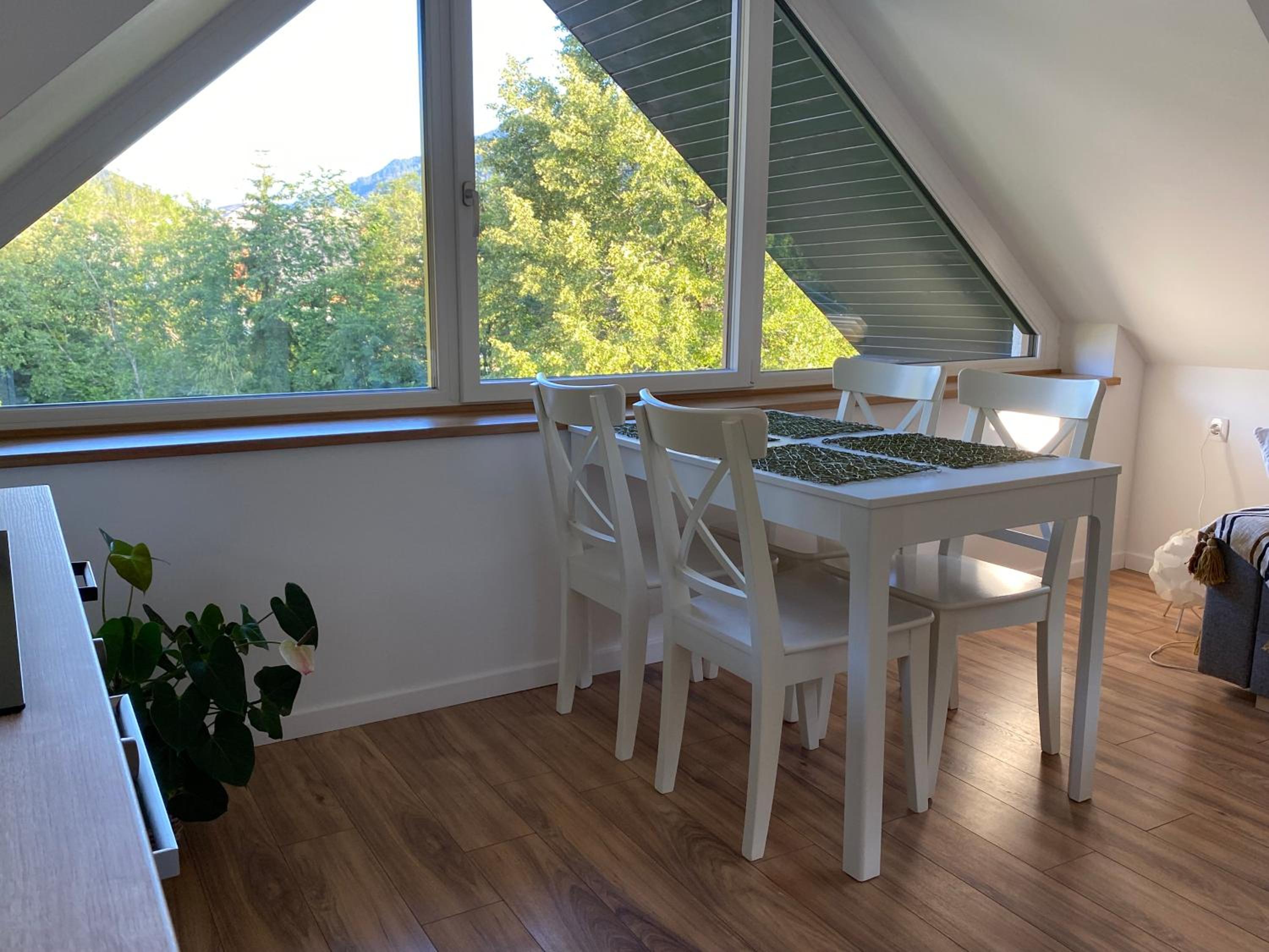 Apartment Židana marela - Attic with a View view 4