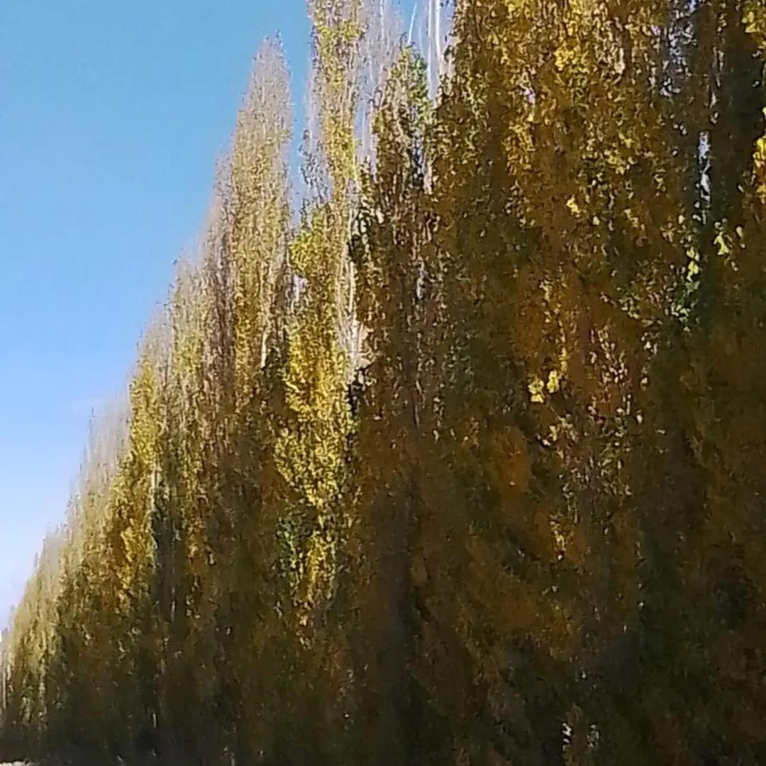 Ventana a la Cordillera