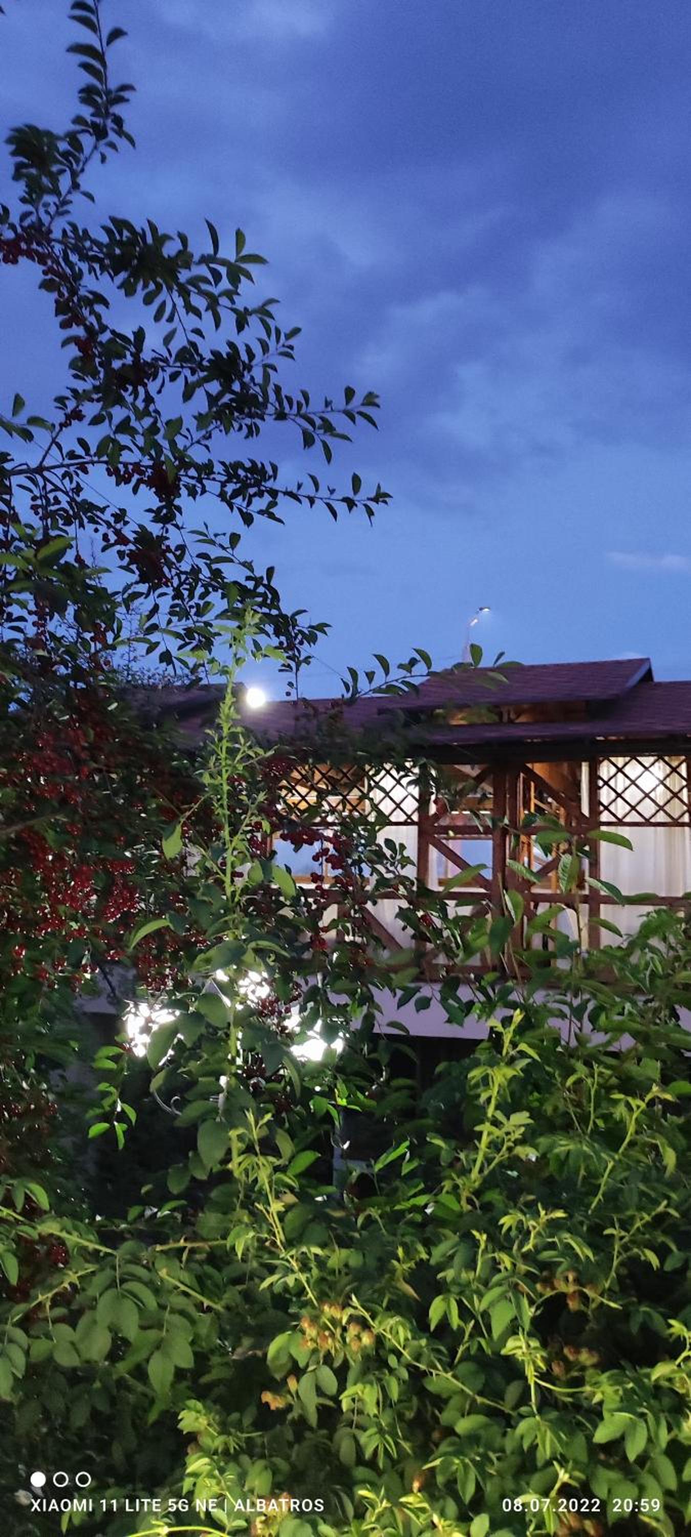Guest House Albatros