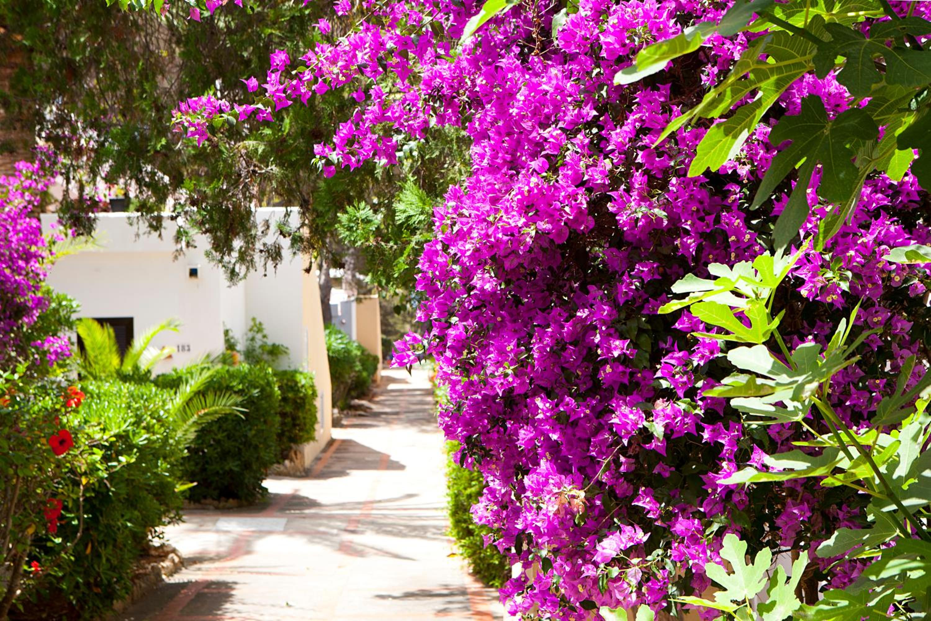 Apartamentos Club Cala Azul