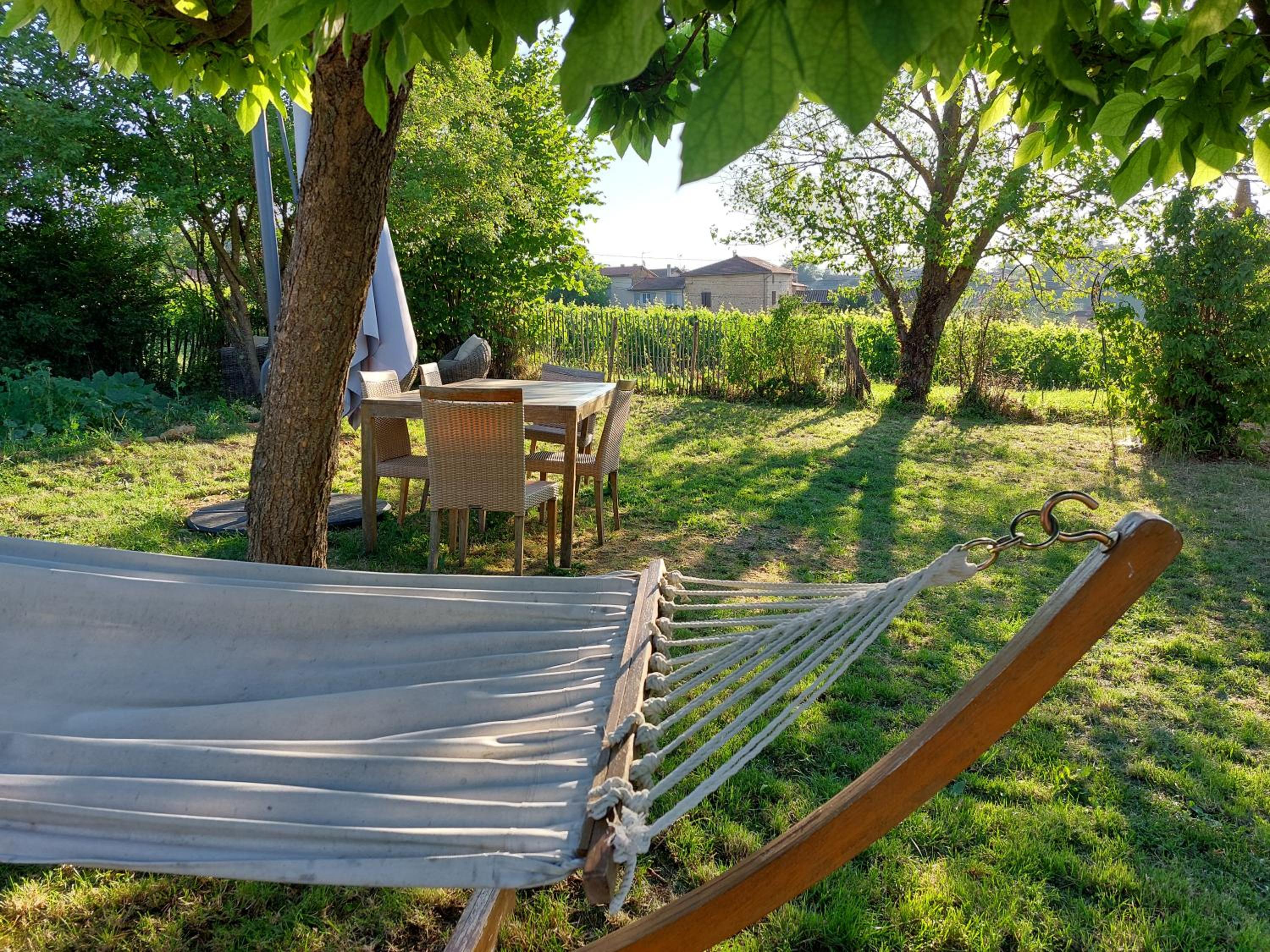 Songes de vigne view 3
