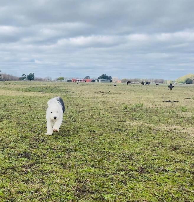 La Épica