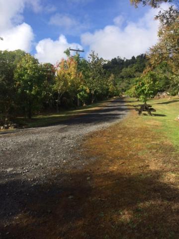 Tui Glen