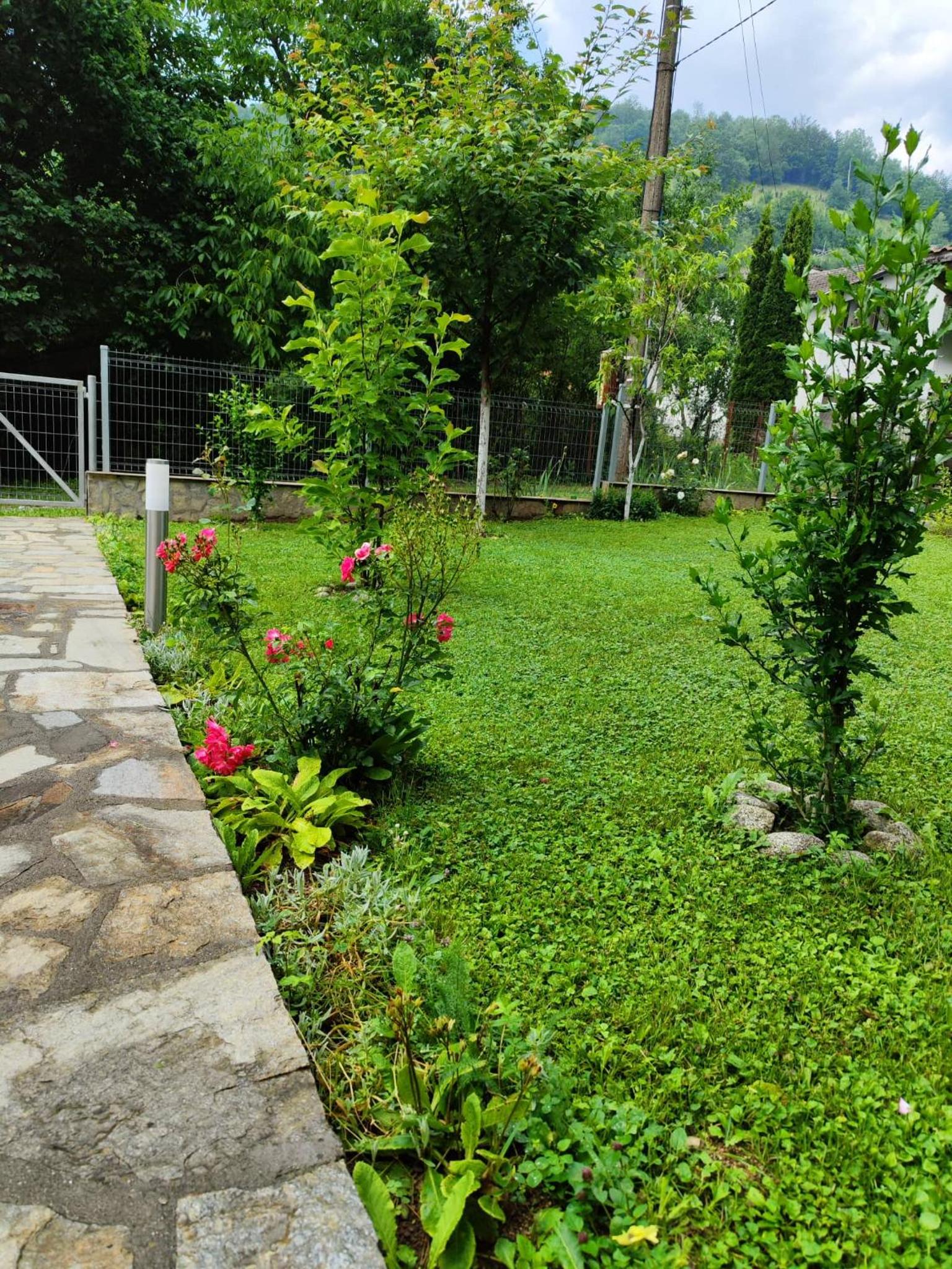 Photo 14