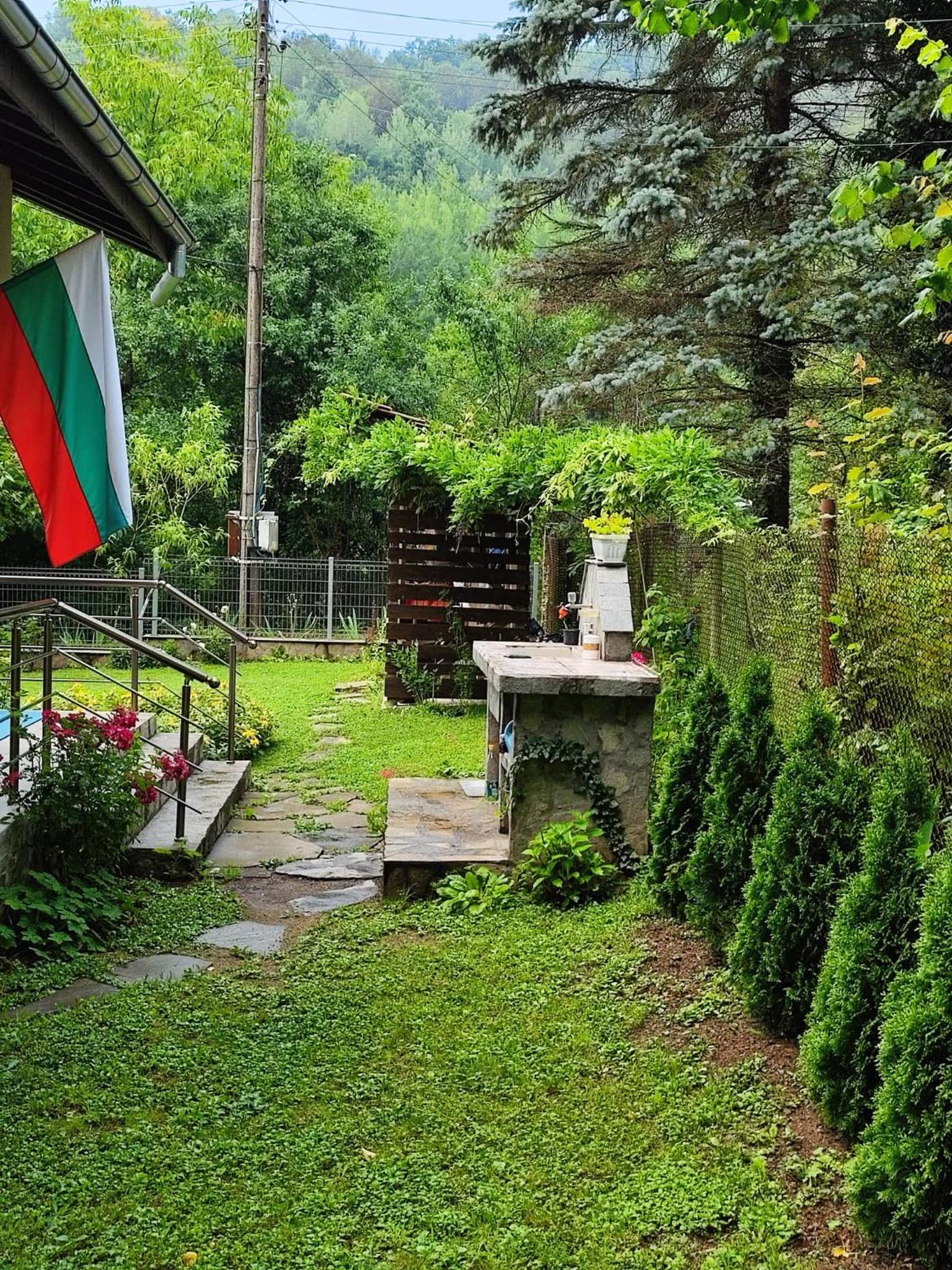 Photo 13