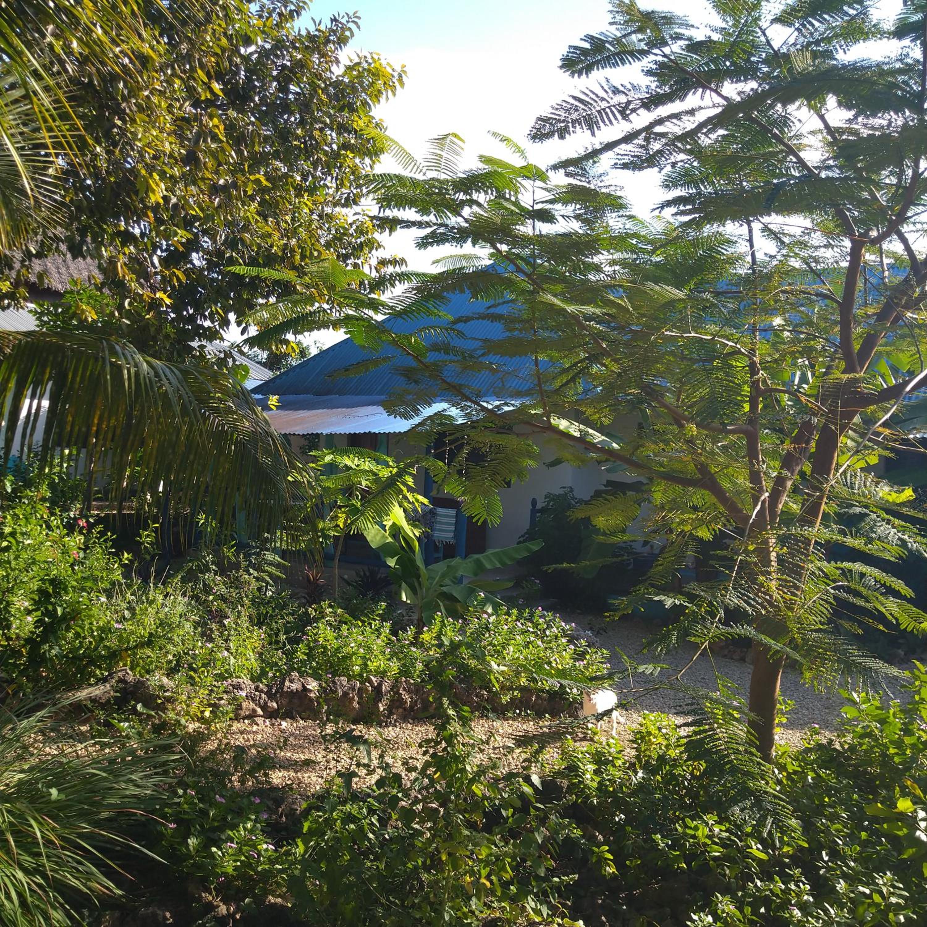 Photo 21
