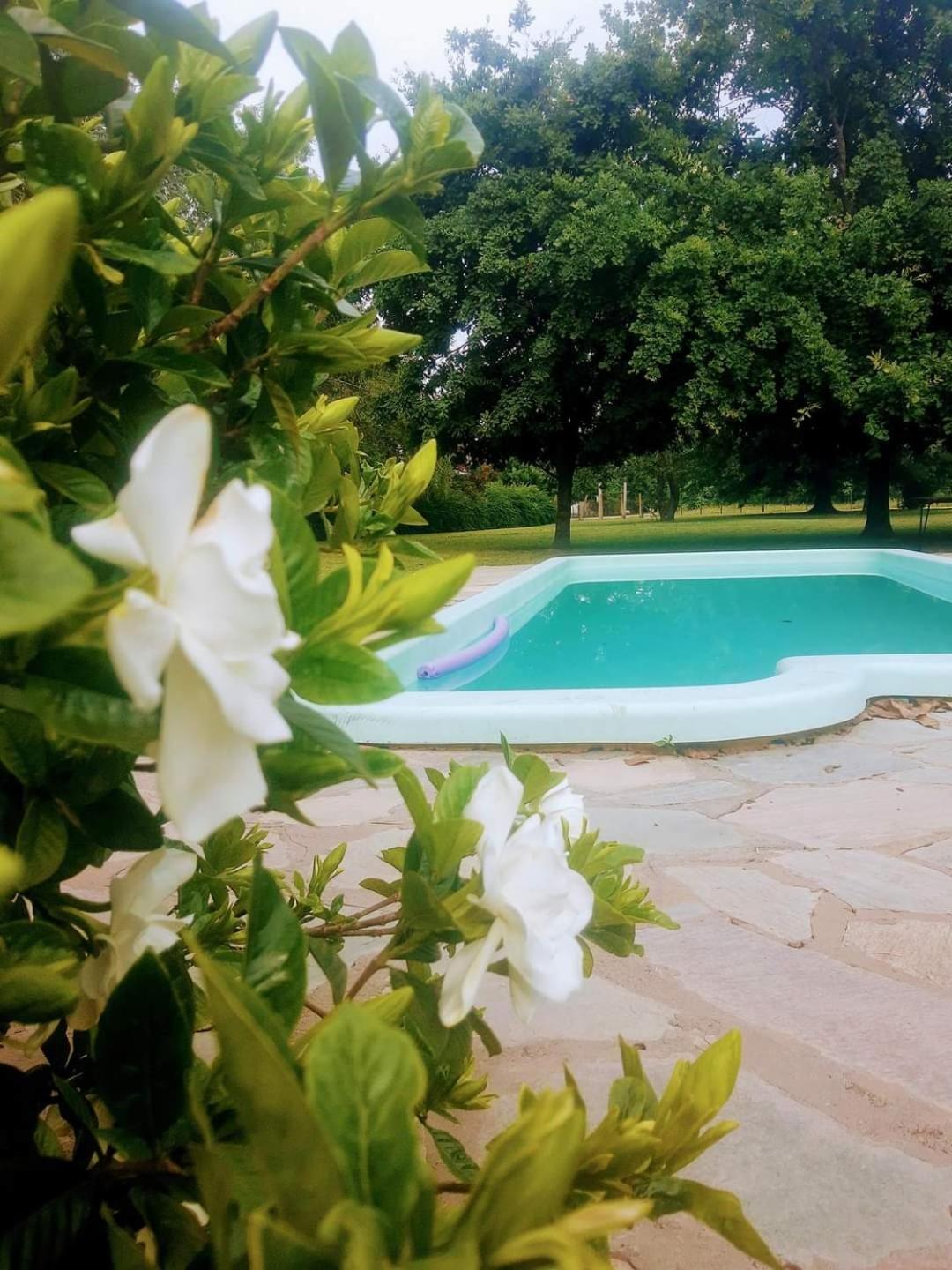 Quinta La Alpina