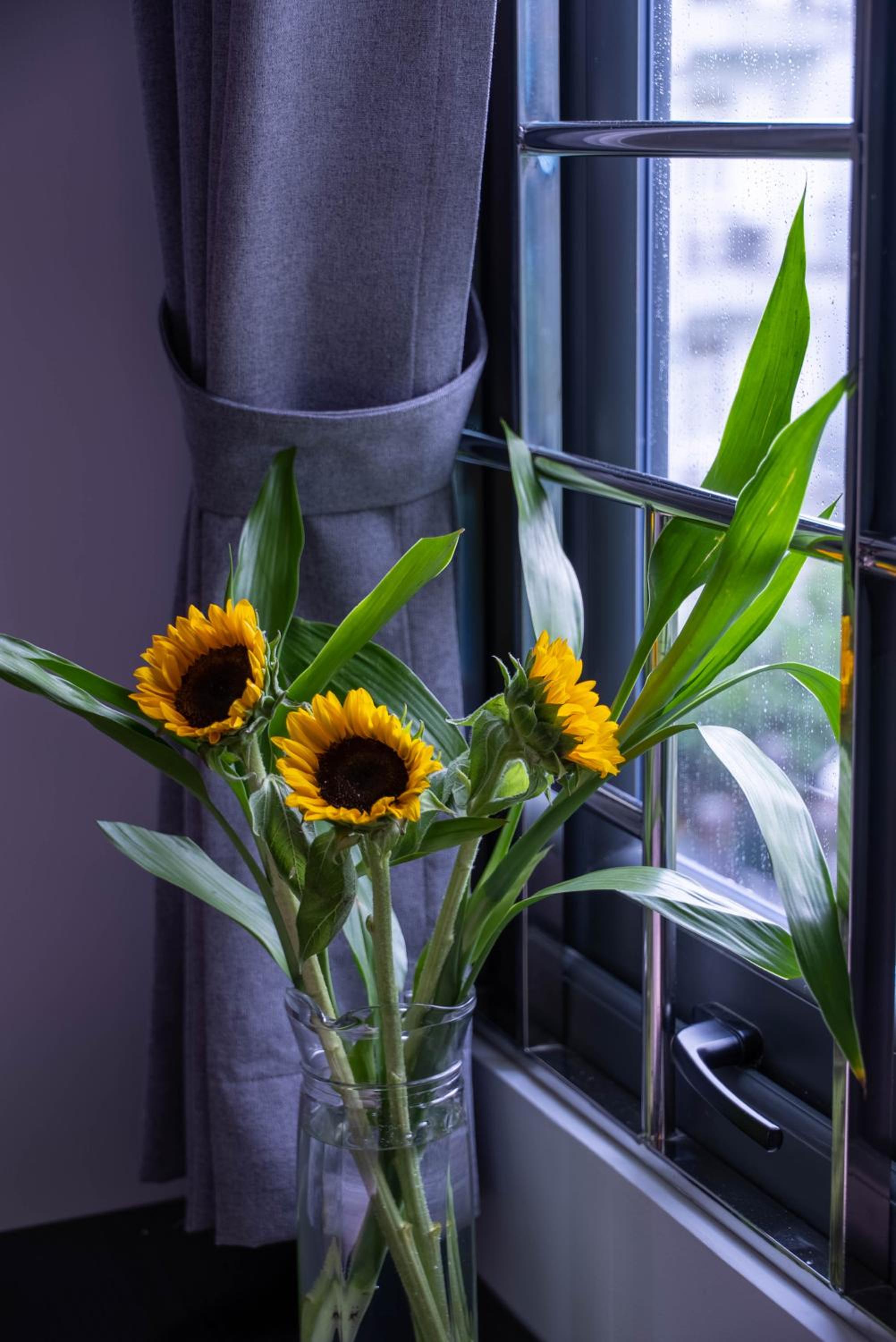 Brand New Cozy Home in D1 wBalcony