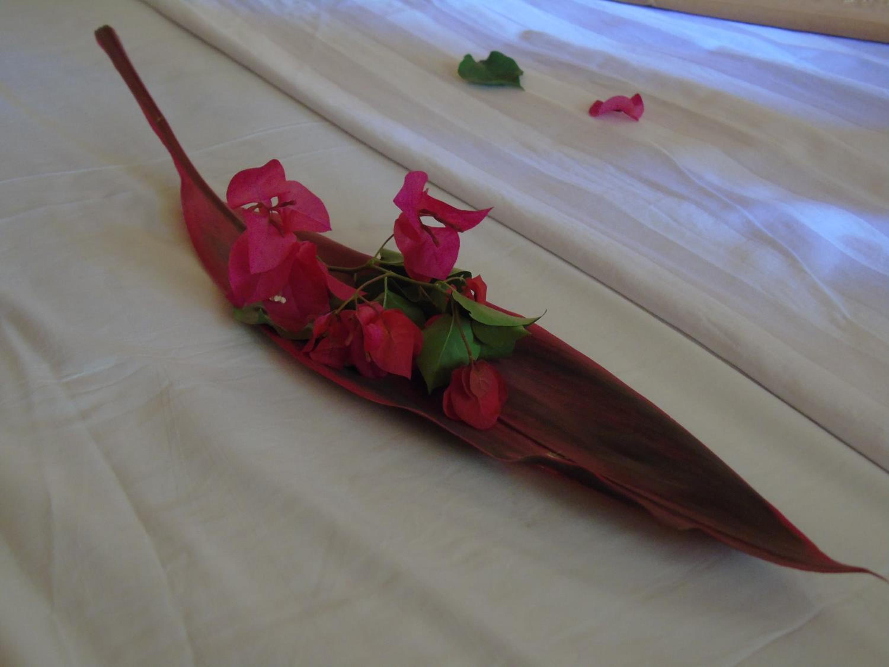 Photo 56