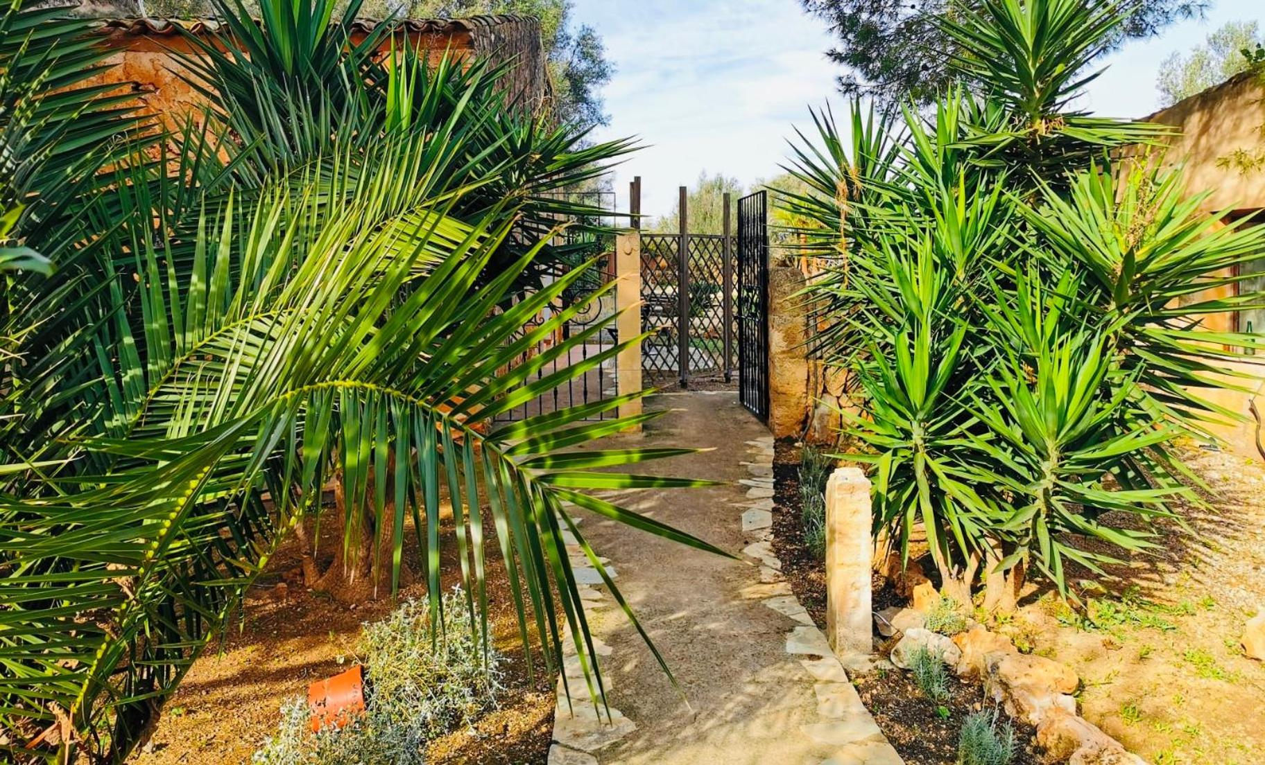 Finca Sa Canova Agroturismo
