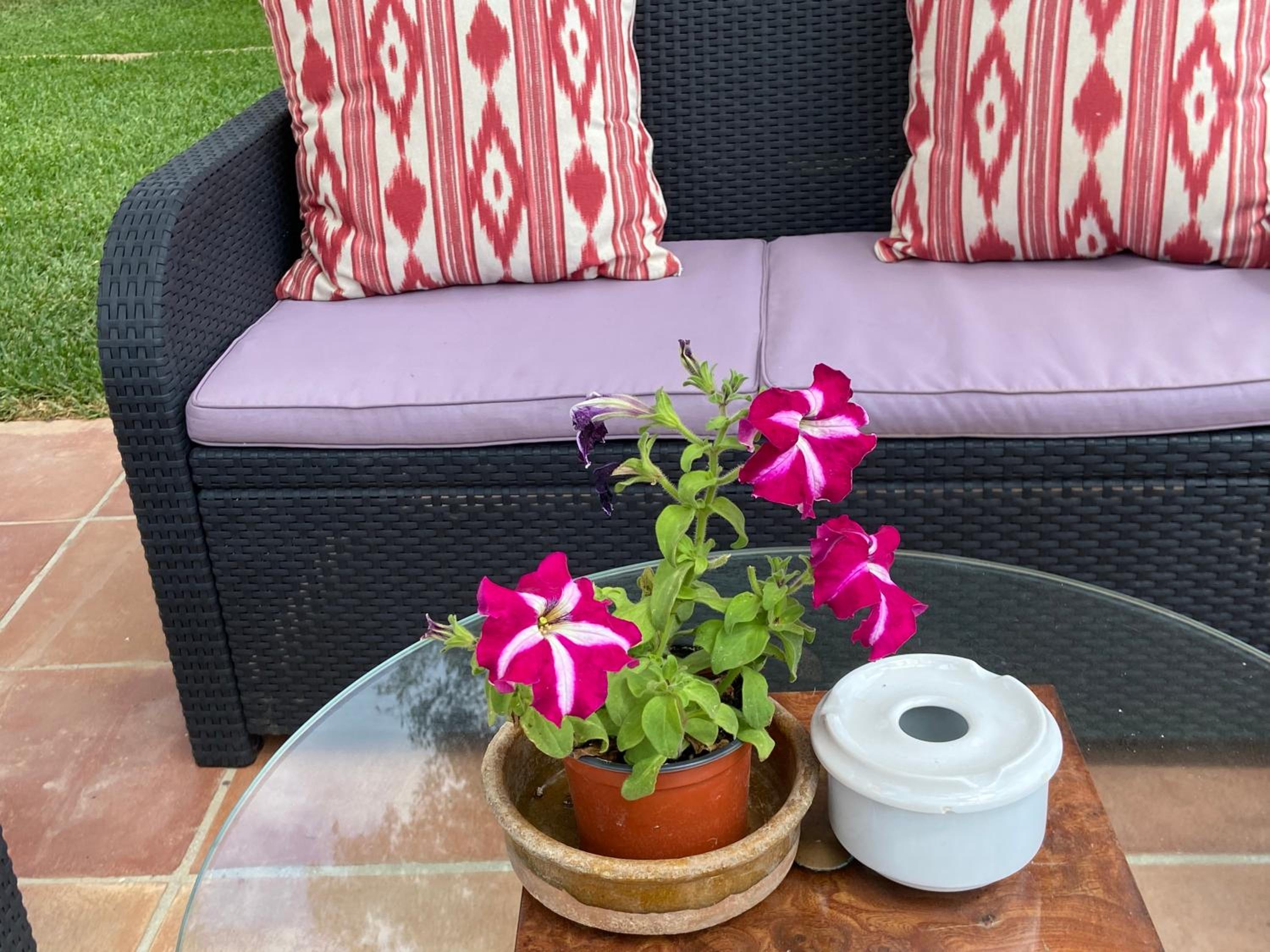 Finca Sa Canova Agroturismo