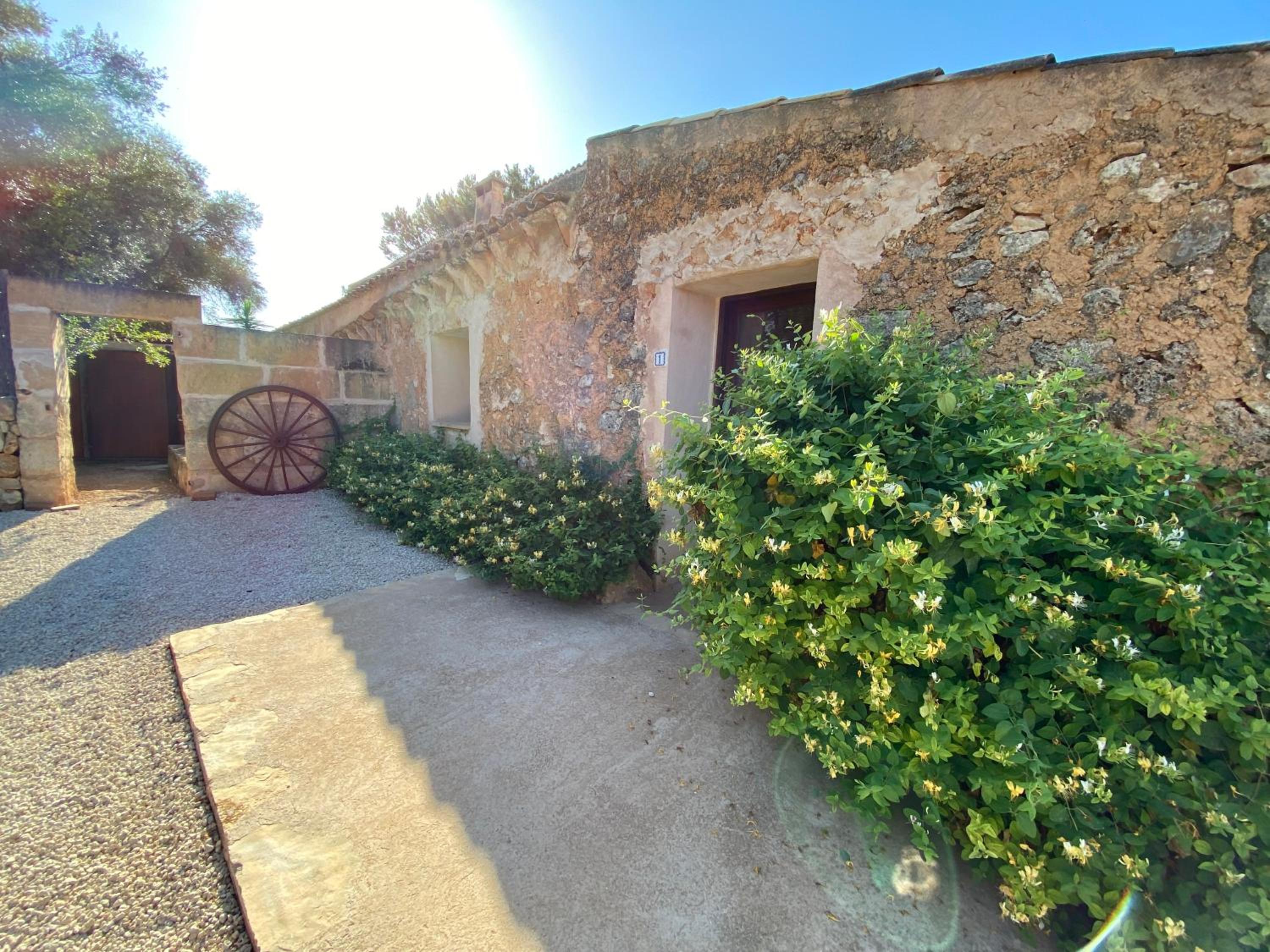 Finca Sa Canova Agroturismo