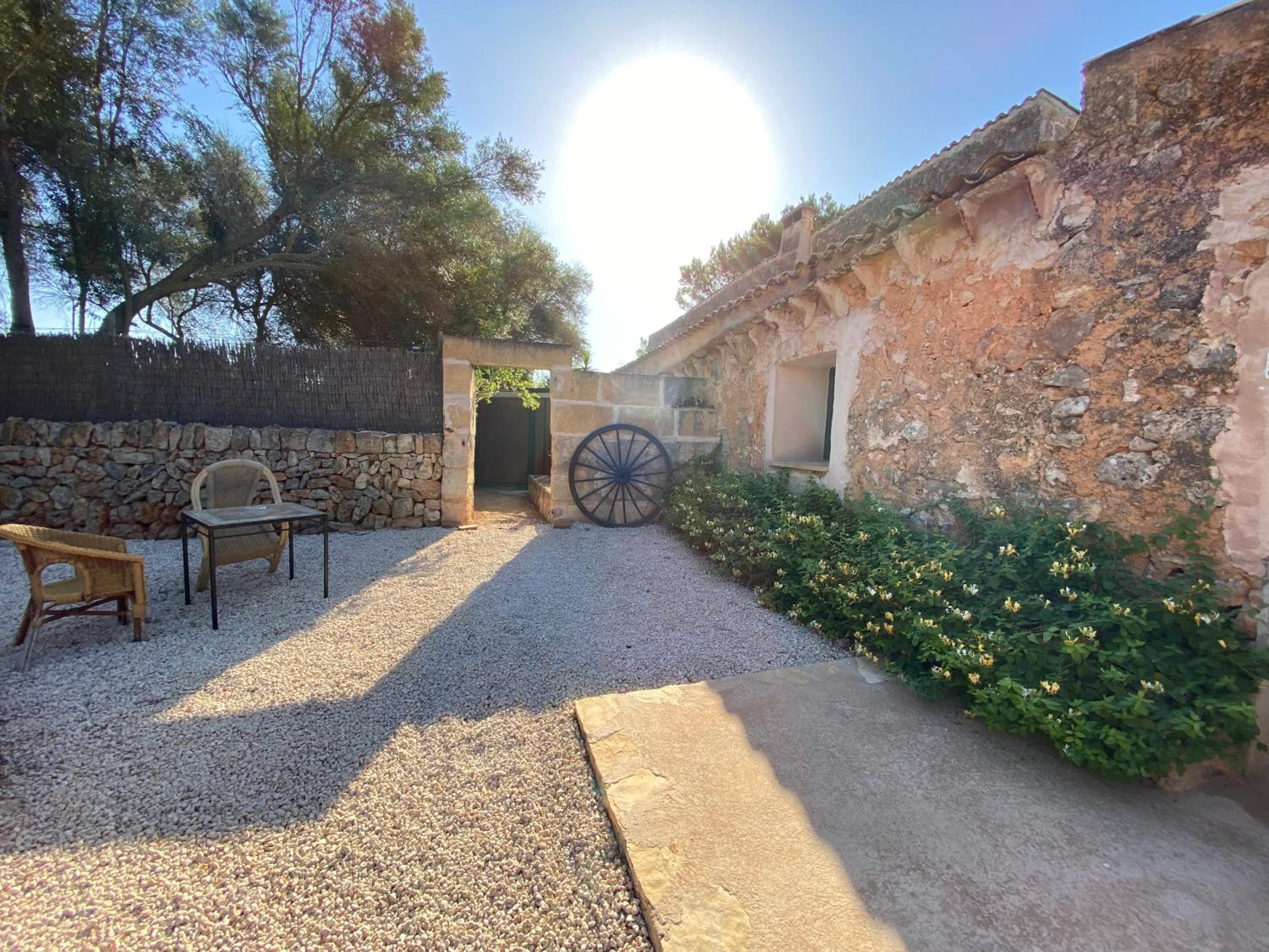 Finca Sa Canova Agroturismo