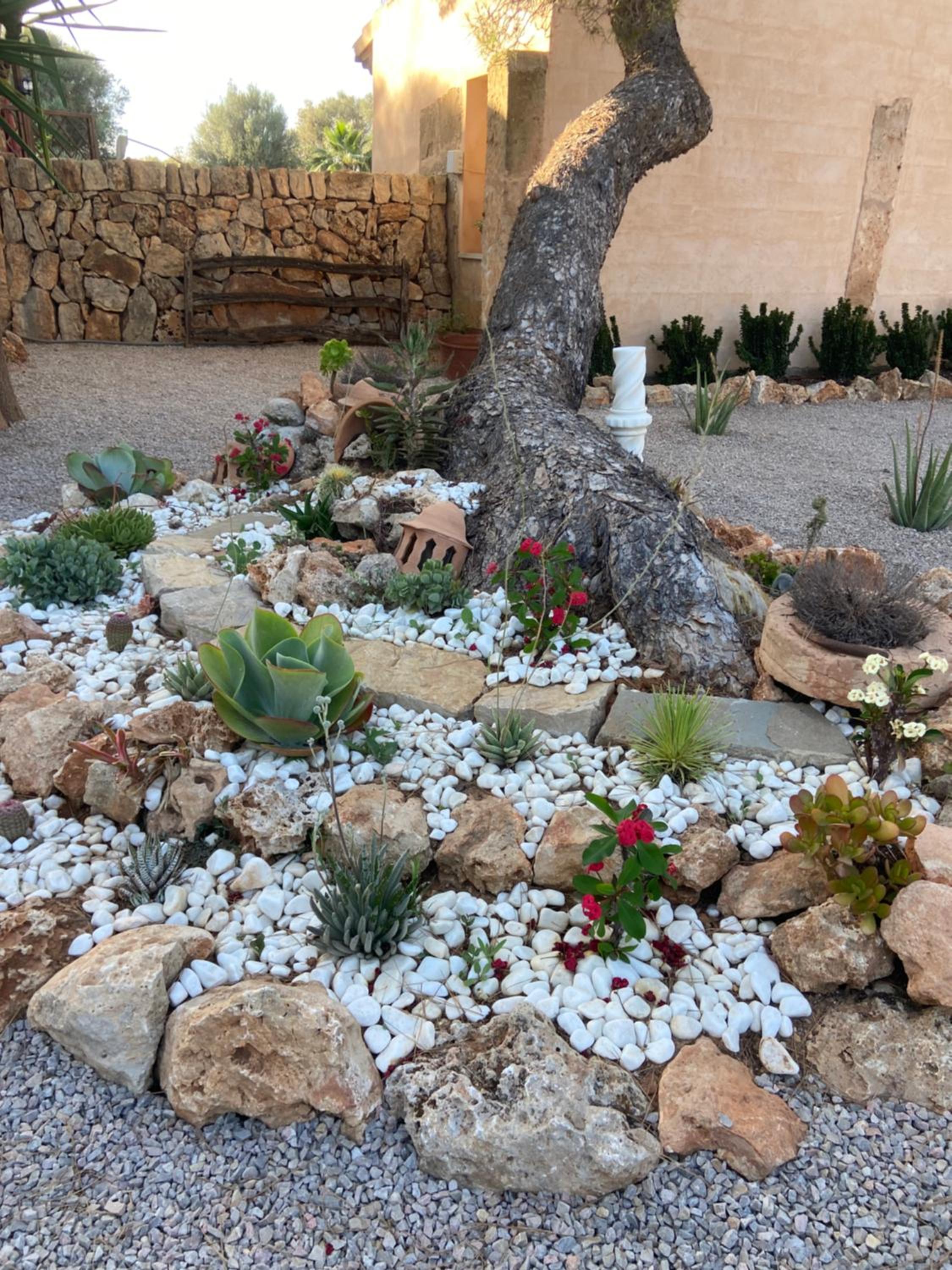Finca Sa Canova Agroturismo
