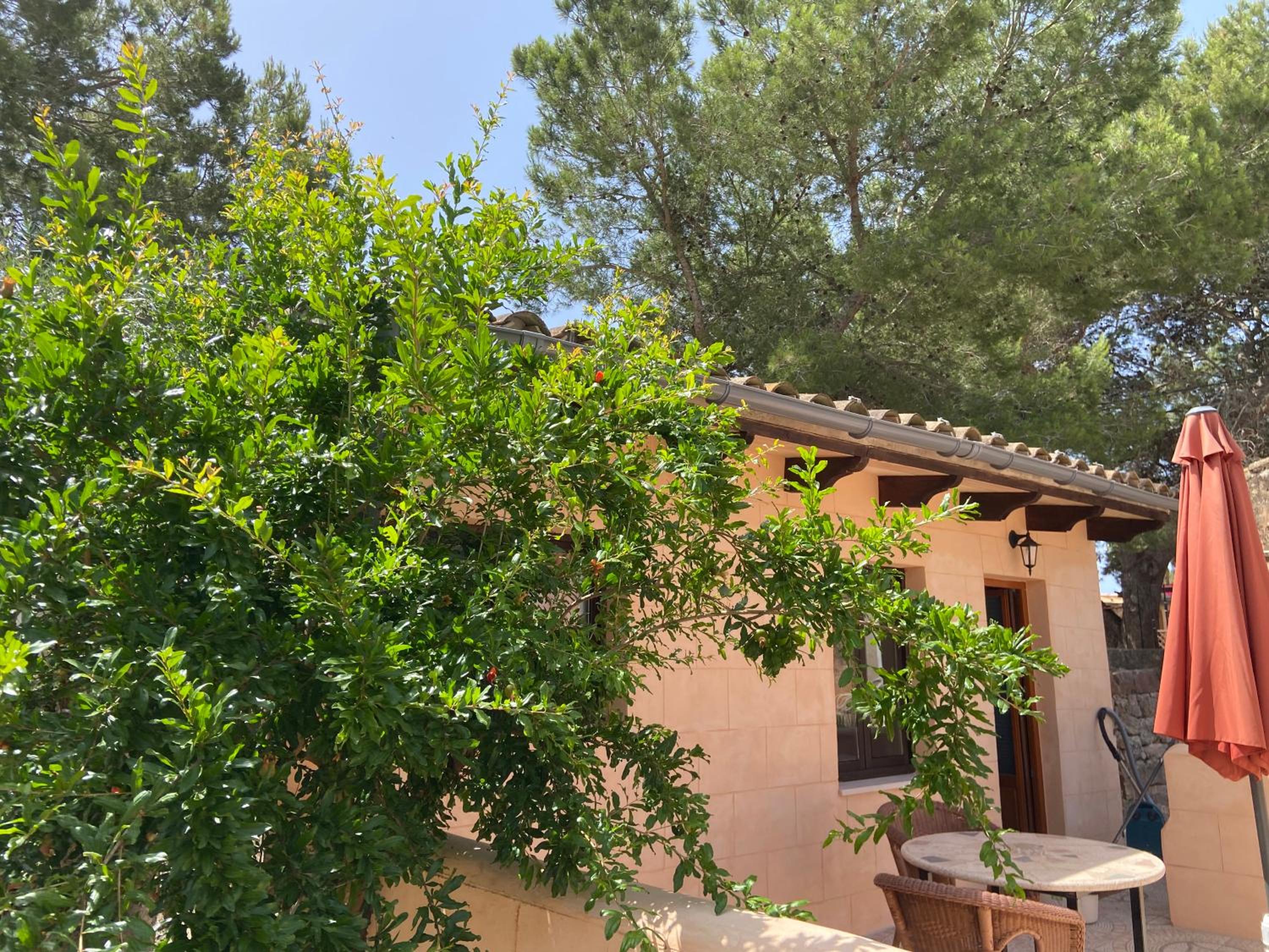 Finca Sa Canova Agroturismo