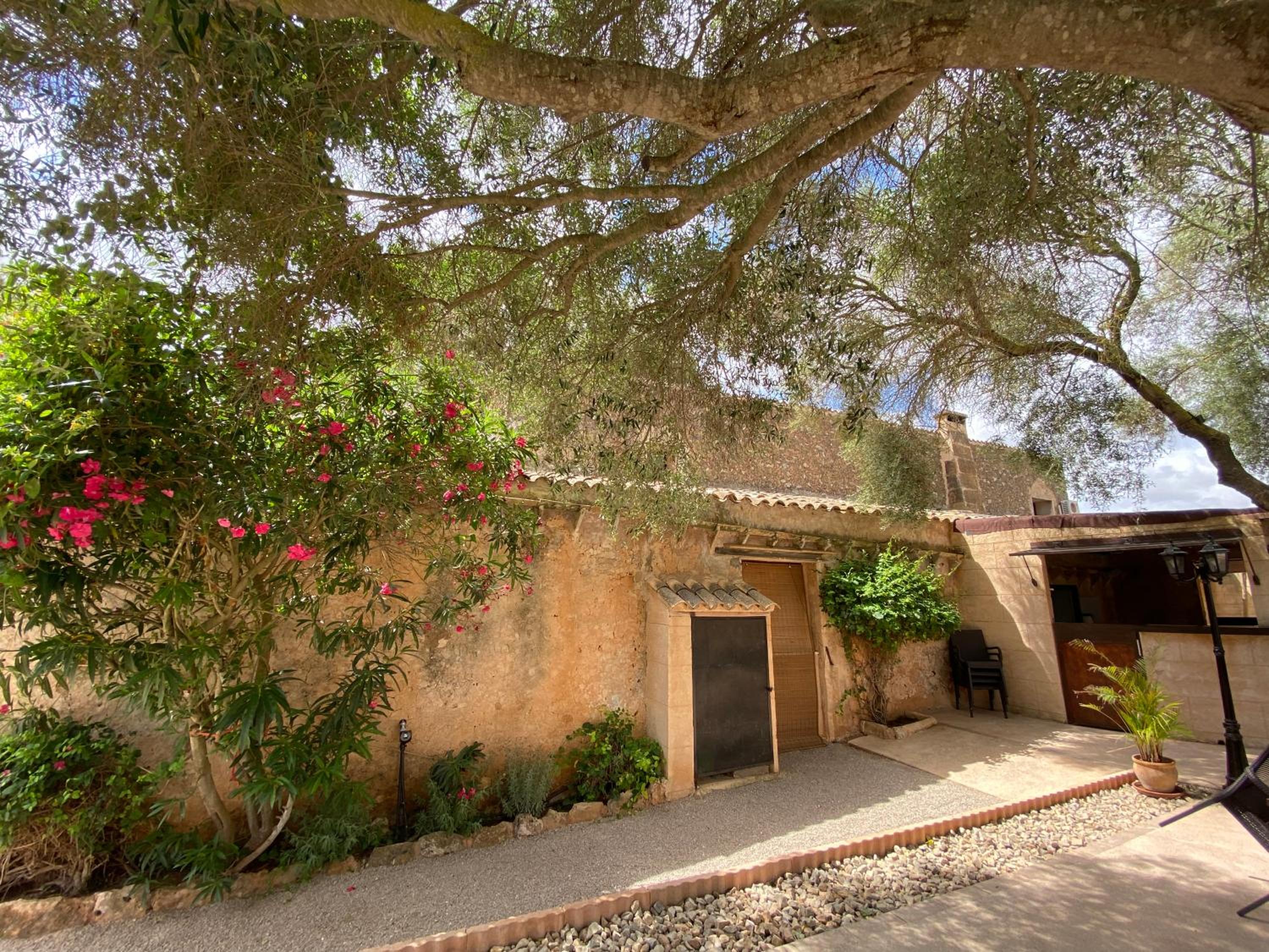Finca Sa Canova Agroturismo