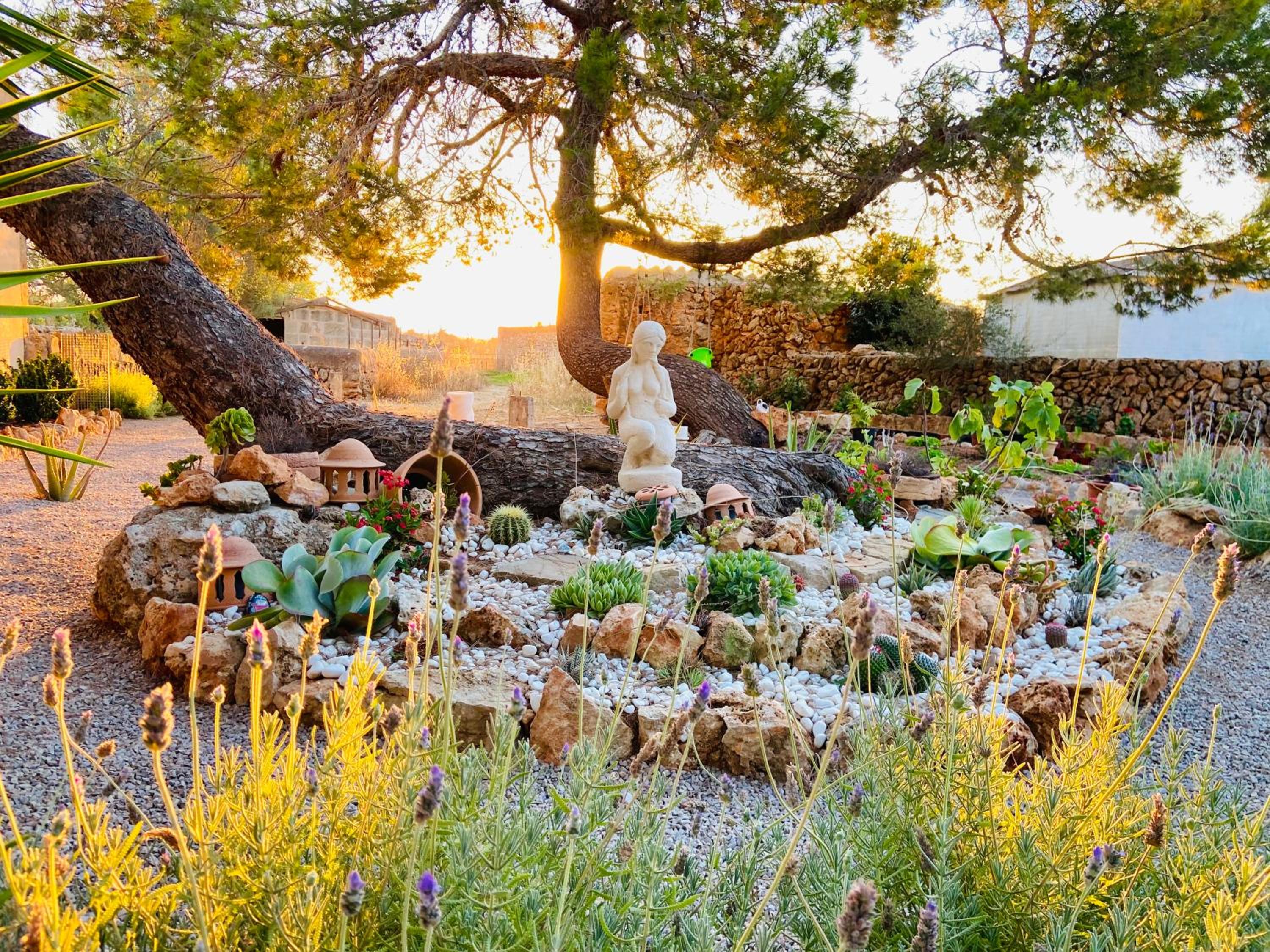 Finca Sa Canova Agroturismo