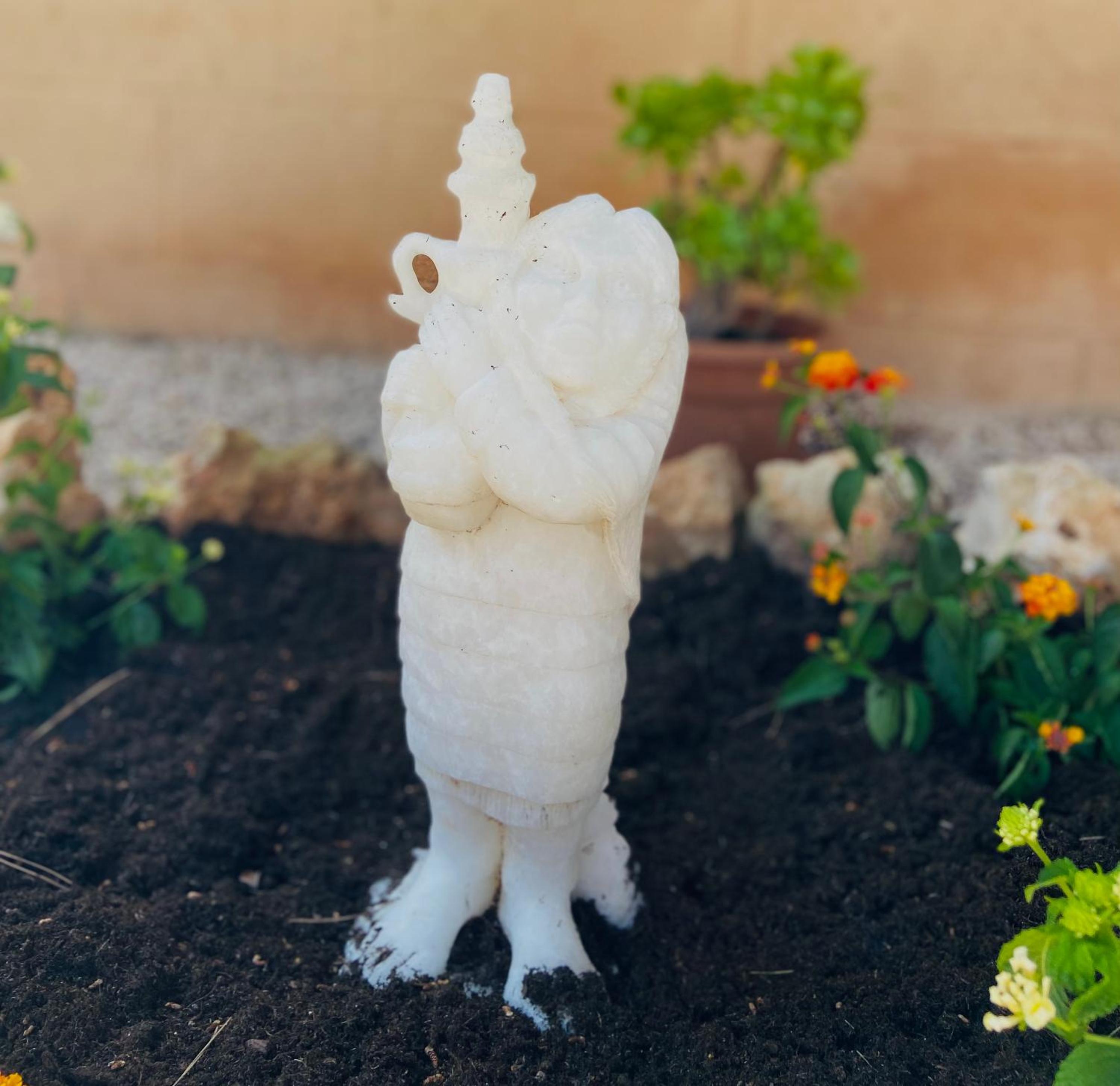 Finca Sa Canova Agroturismo