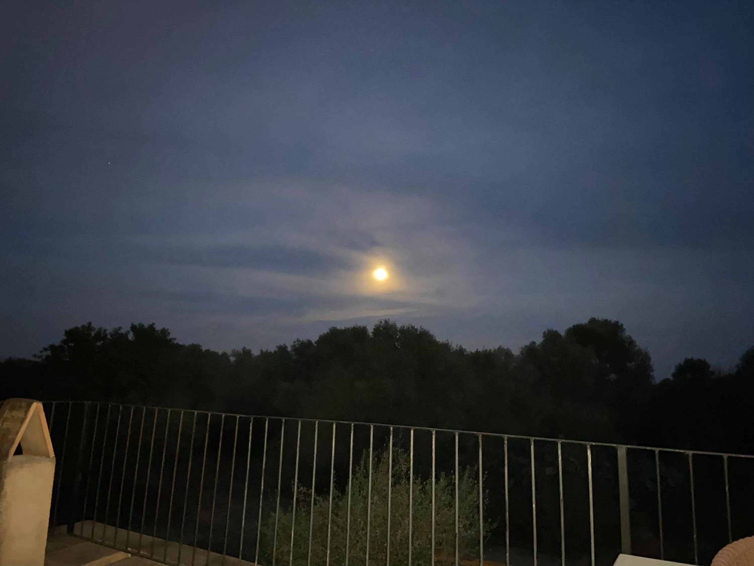 Finca Sa Canova Agroturismo