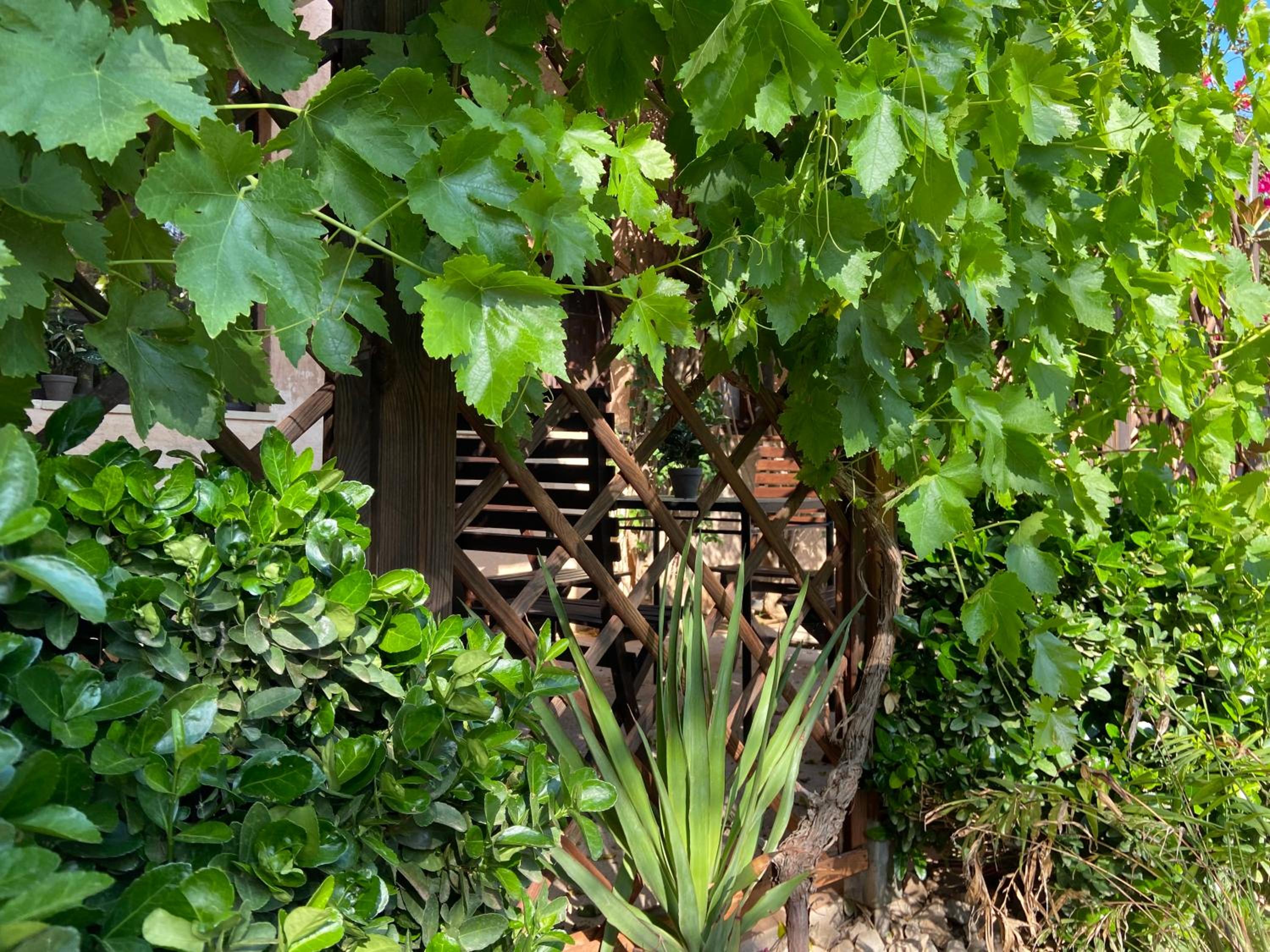 Finca Sa Canova Agroturismo