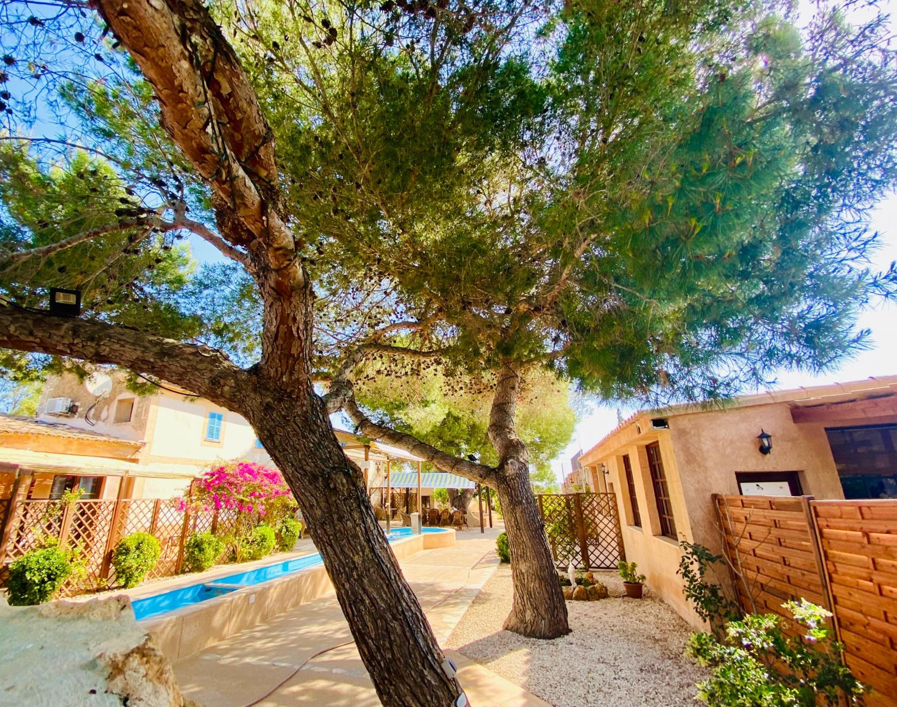 Finca Sa Canova Agroturismo