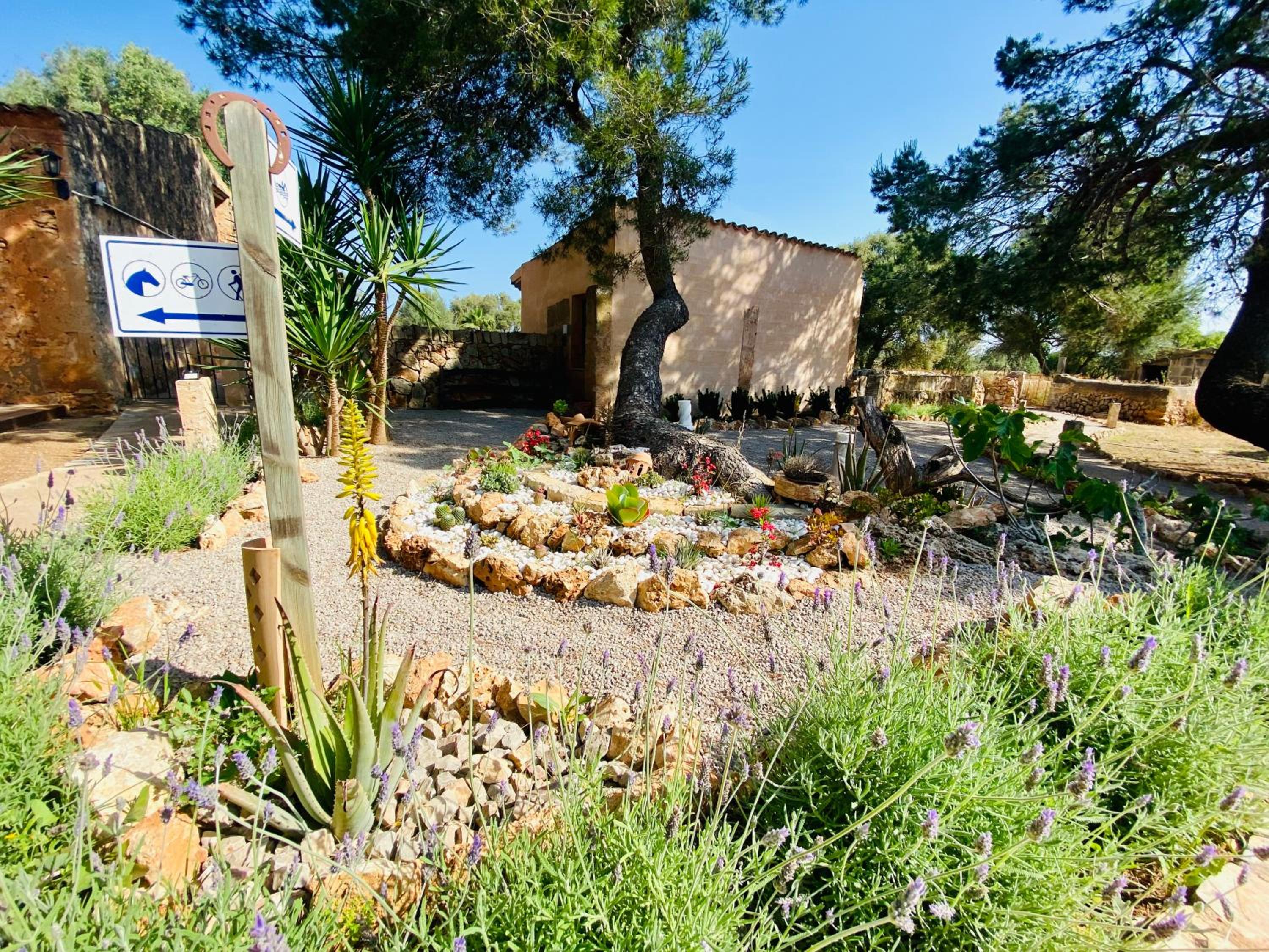 Finca Sa Canova Agroturismo