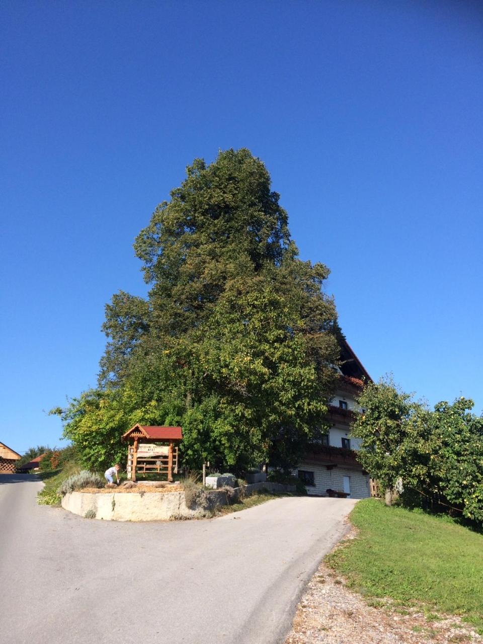 Country House Apat view 3