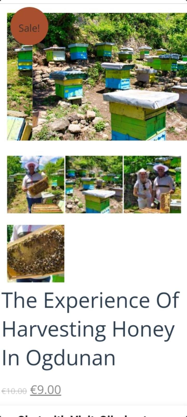 Honey-House Kastrioti Adventures