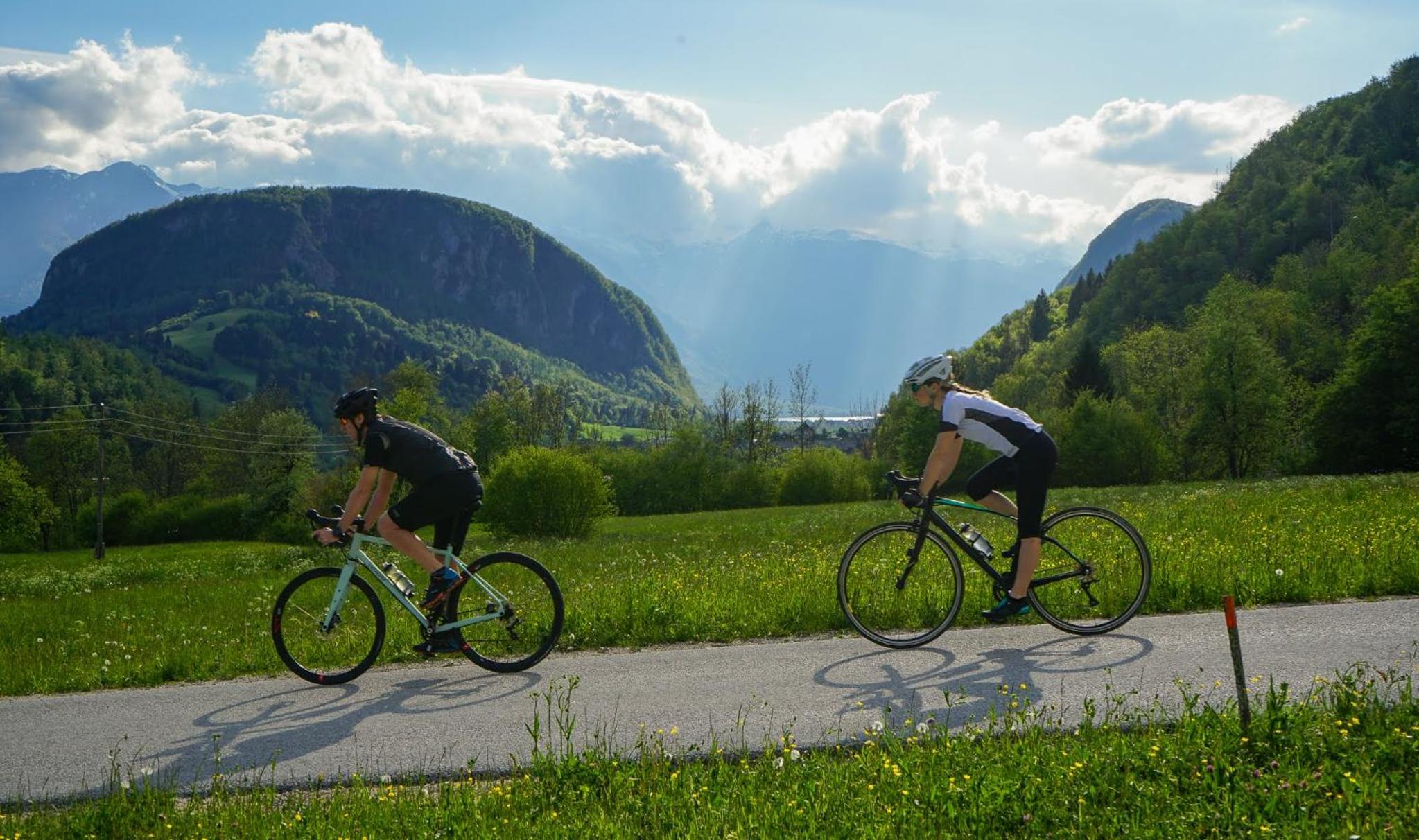 Chalet Hike&Bike above Bohinj valley view 2