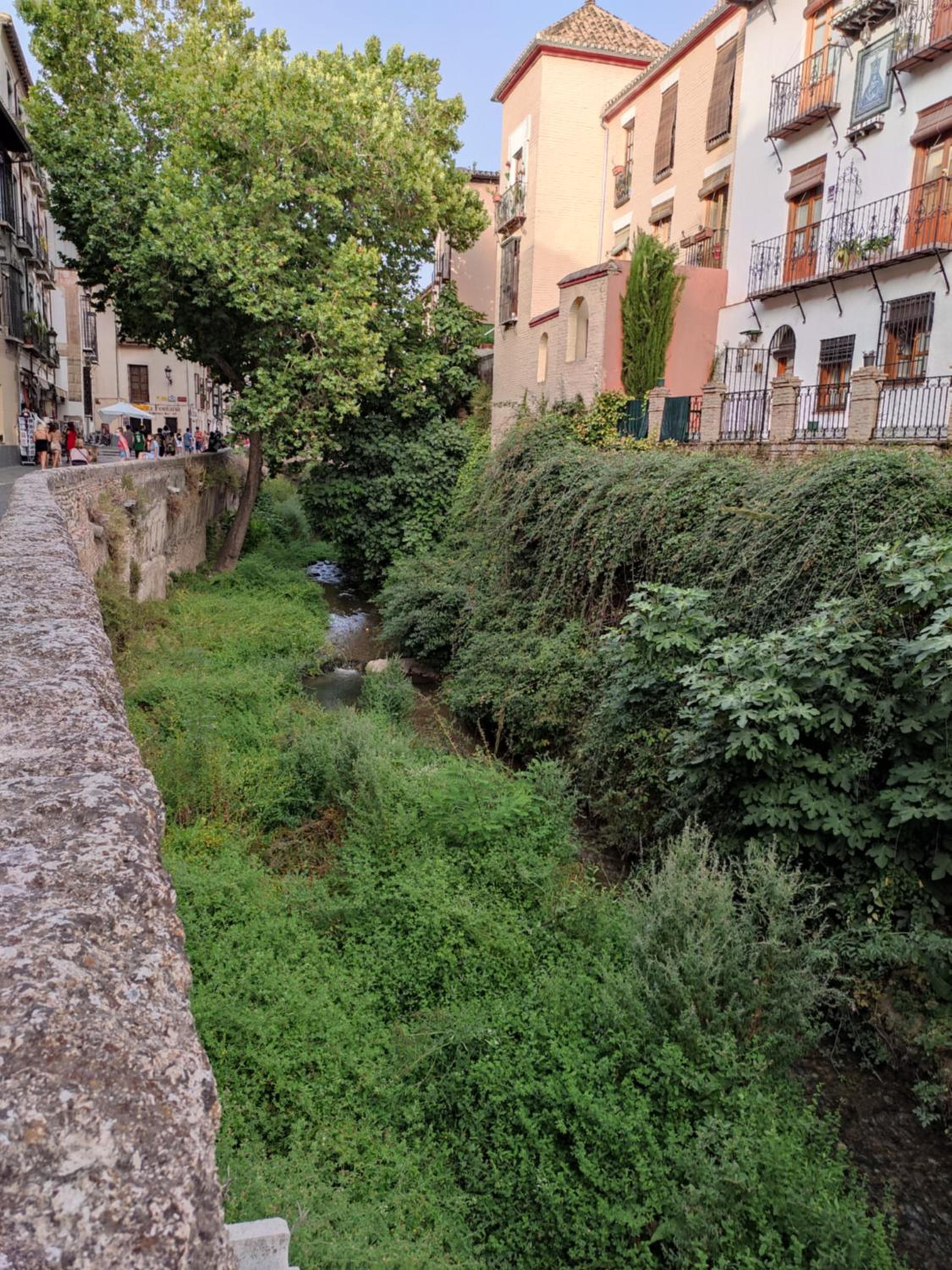 Photo 23